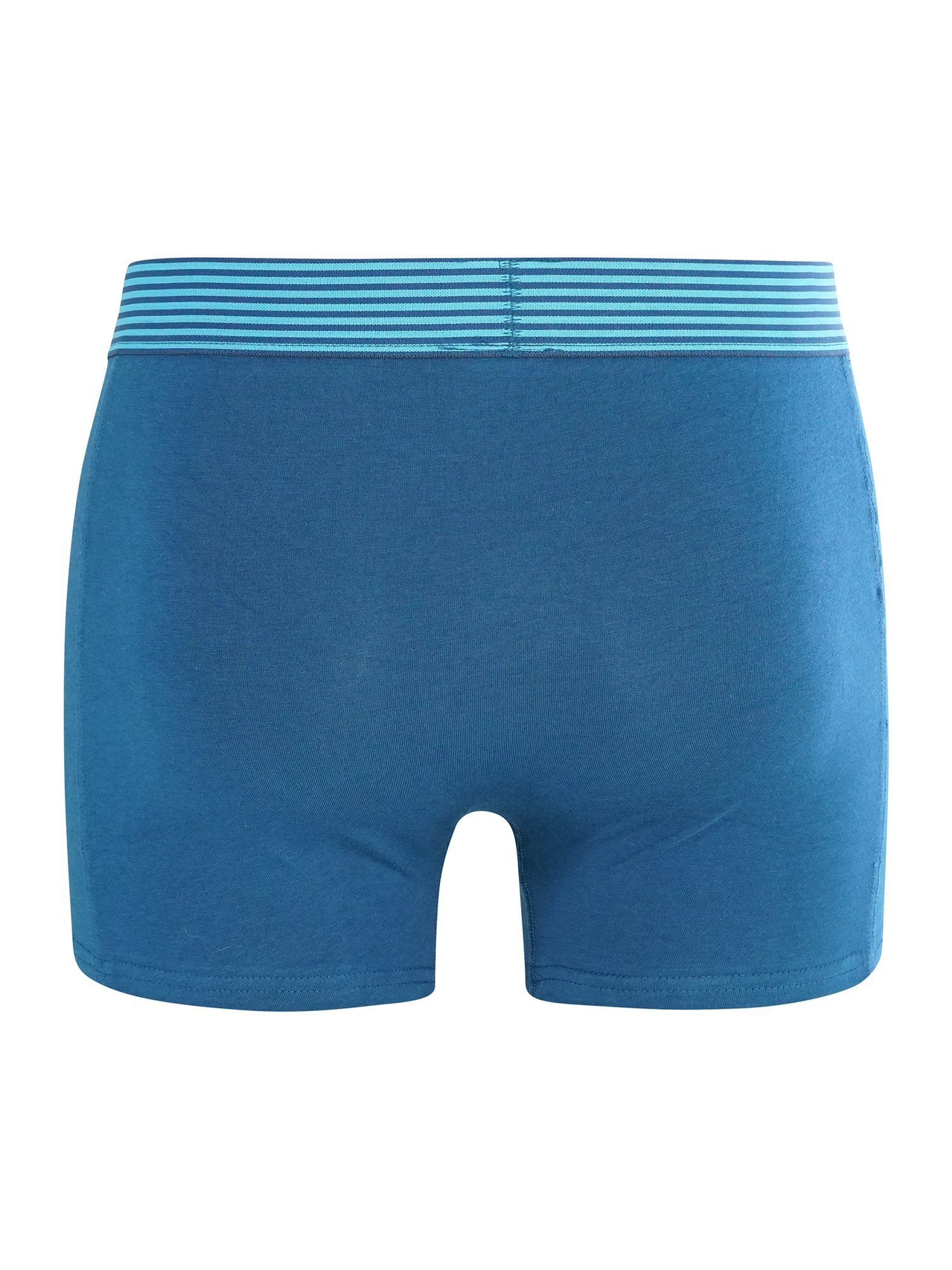 Pants Retro FASHION grau/blau 2-Pack CR7