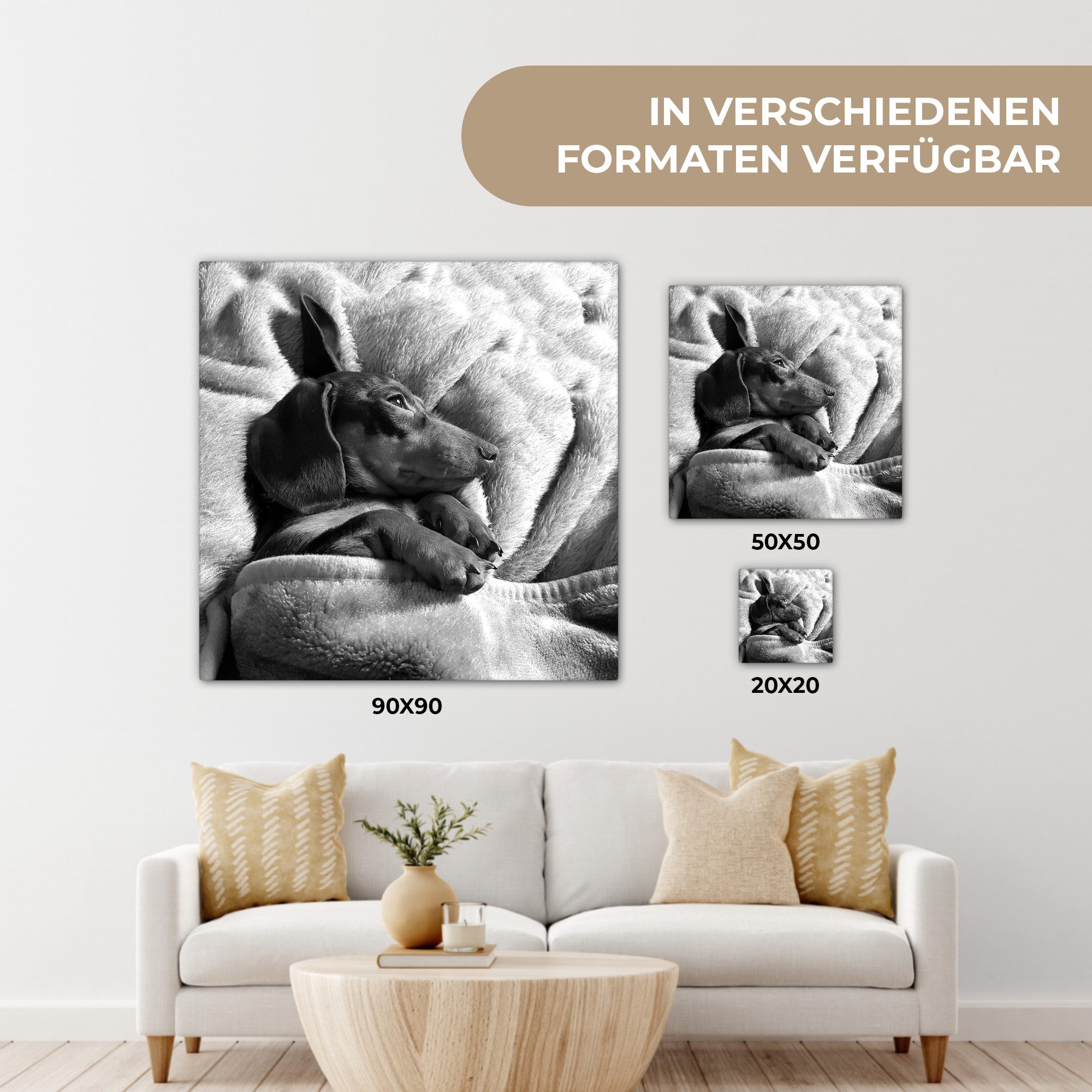 OneMillionCanvasses® Leinwandbild Niedlicher Dackel liegt unter der Bettdecke, Fotodruck (1 St), Wandbild, Deko Schlafzimmer Wohnzimmer Flur 20x20 cm – Bild 5 von 5