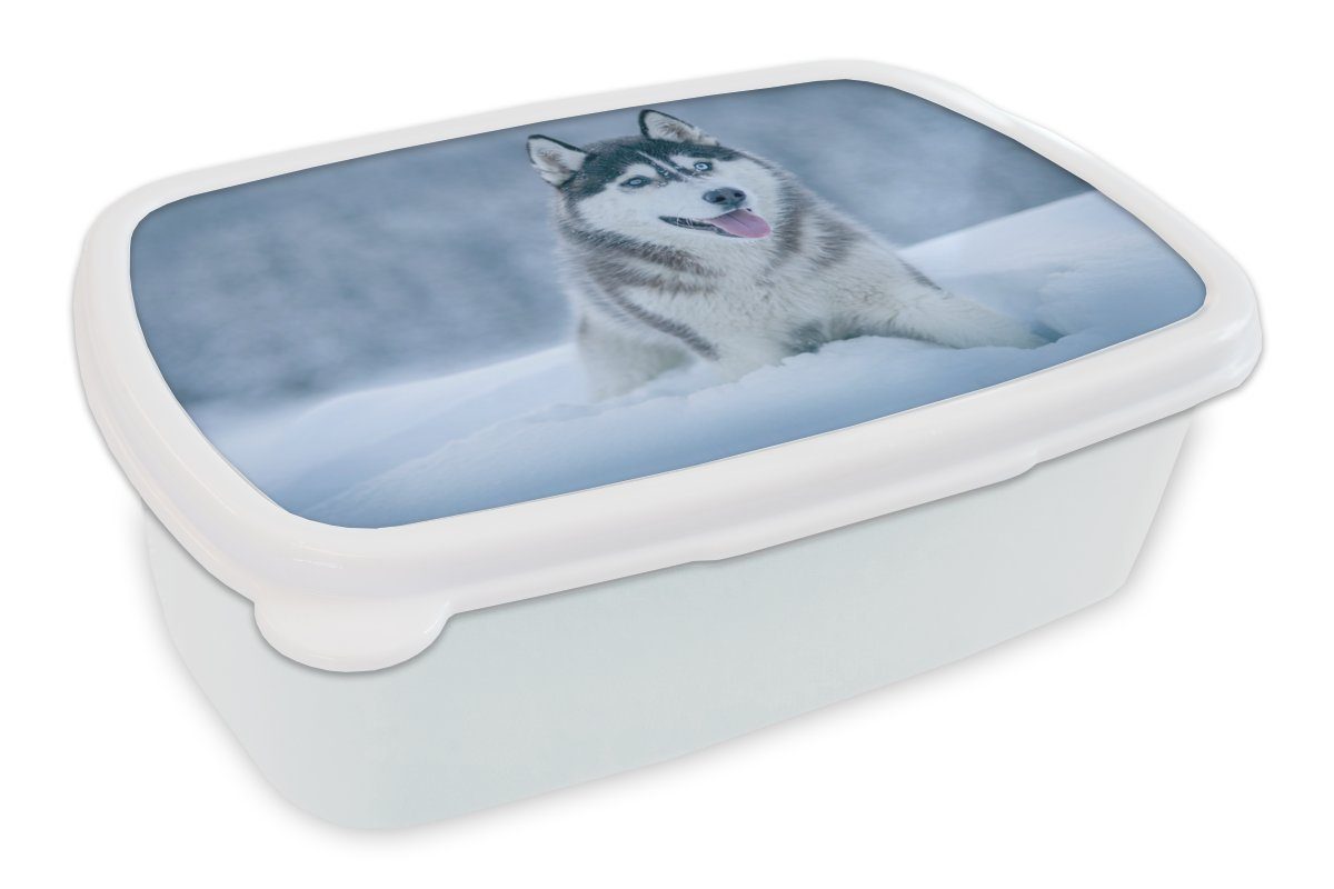 MuchoWow Lunchbox Husky - Schnee - Natur, Kunststoff, (2-tlg), Brotbox für Kinder und Erwachsene, Brotdose, für Jungs und Mädchen weiß