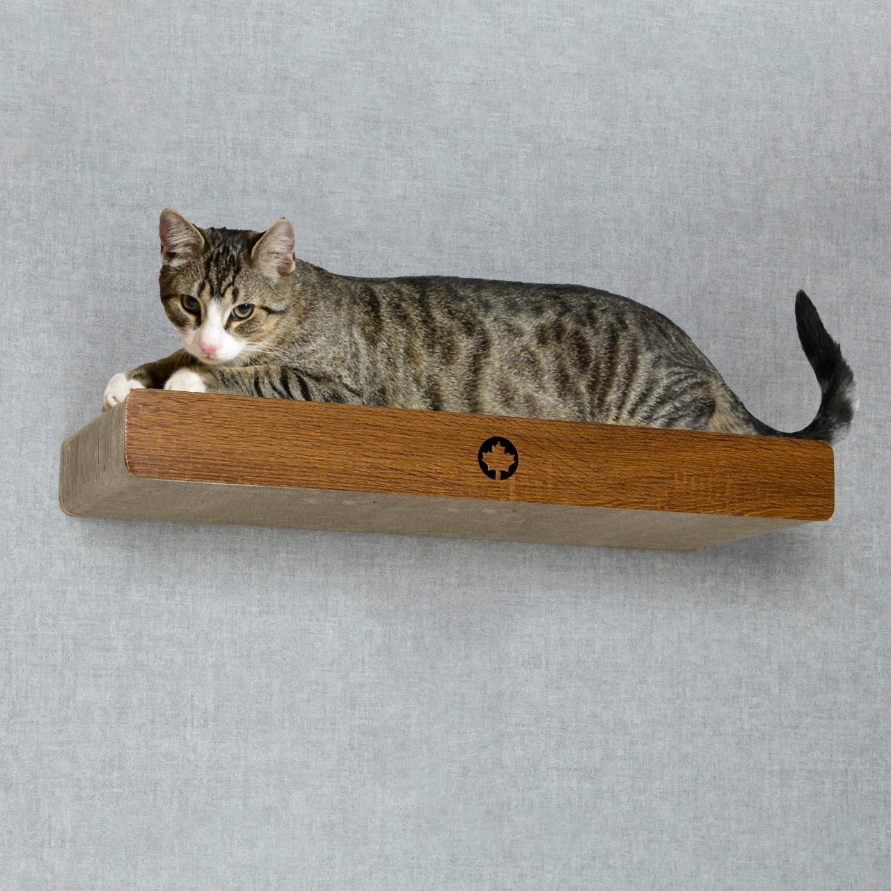 Canadian Cat Company Kratzpappe Cloud - walnuss, (Kratzbrett mit verdeckter Wandbefestigung, 1-tlg., inkl. Befestigungsmaterial), Ersatzkratzpappen erhältlich