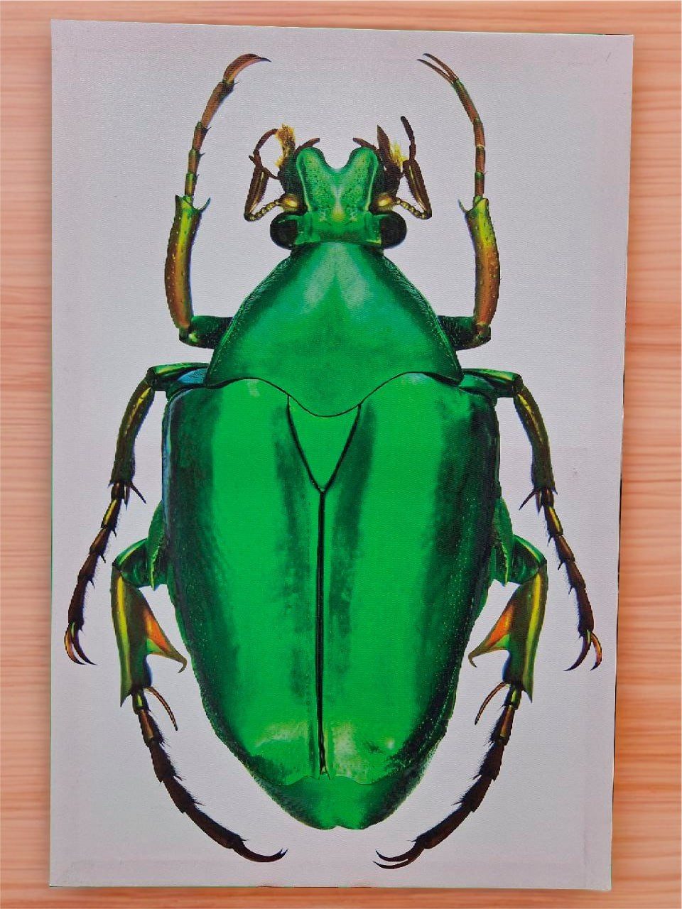 Xlmoebel Картина Minimalistische Ölmalerei mit klarer Geometrie Sofort, Hergestellt in Europa