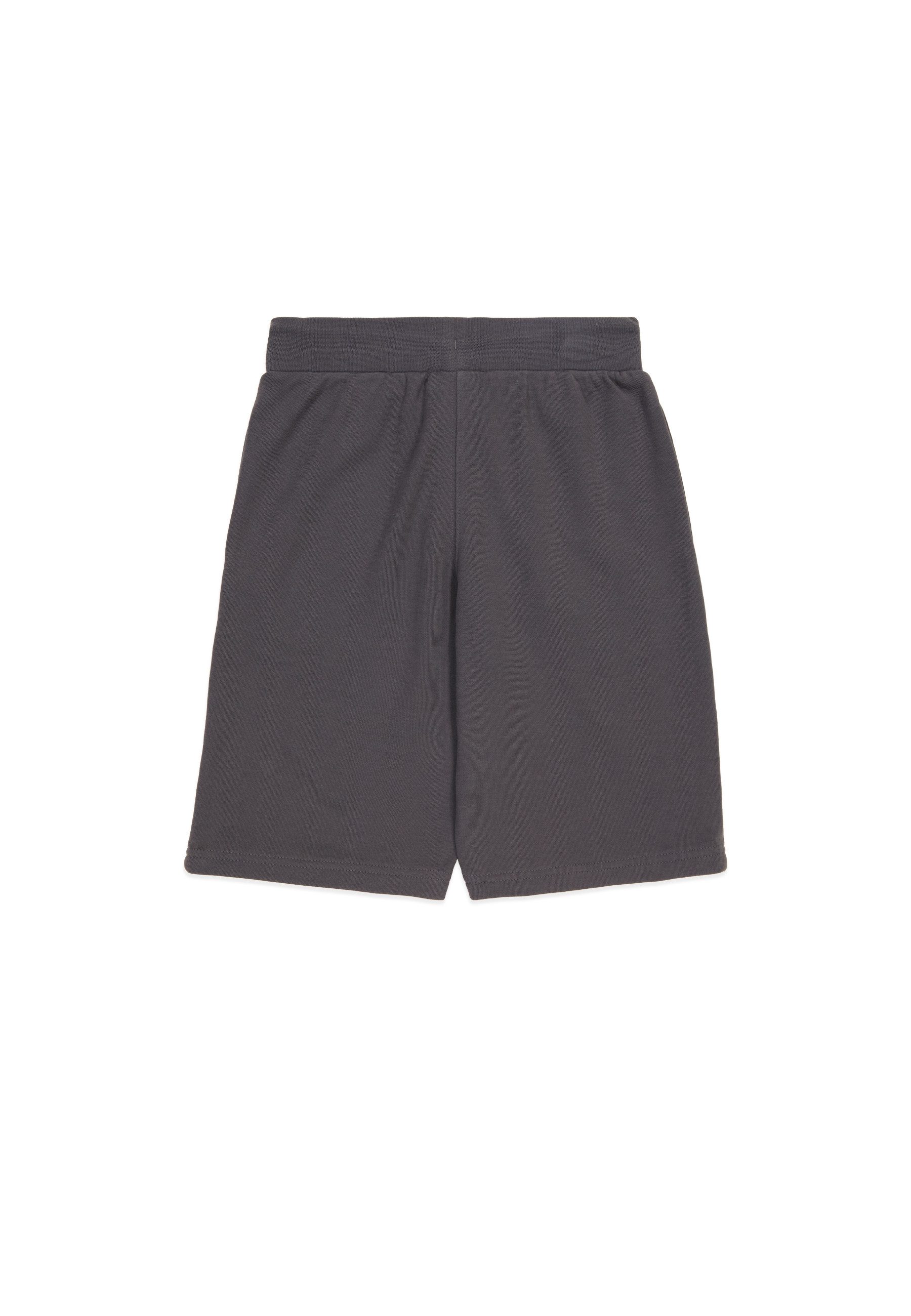 Champion Bermudas ICONS Terry Bermuda with günstig online kaufen