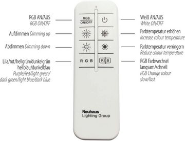 JUST LIGHT Deckenleuchte MADINA, CCT - über Fernbedienung, Memory, nach Trennung vom Netz, RGB, dimmbar über Fernbedienung, LED fest integriert, warmweiß - kaltweiß, CCT-tunable white,dimmbar über Funk-Fernbedienung,Serienschalter