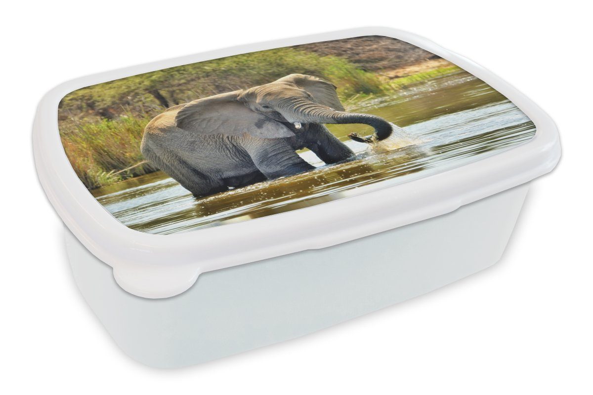 MuchoWow Lunchbox Elefant - Wasser - Tiere - Natur, Kunststoff, (2-tlg), Brotbox für Kinder und Erwachsene, Brotdose, für Jungs und Mädchen weiß