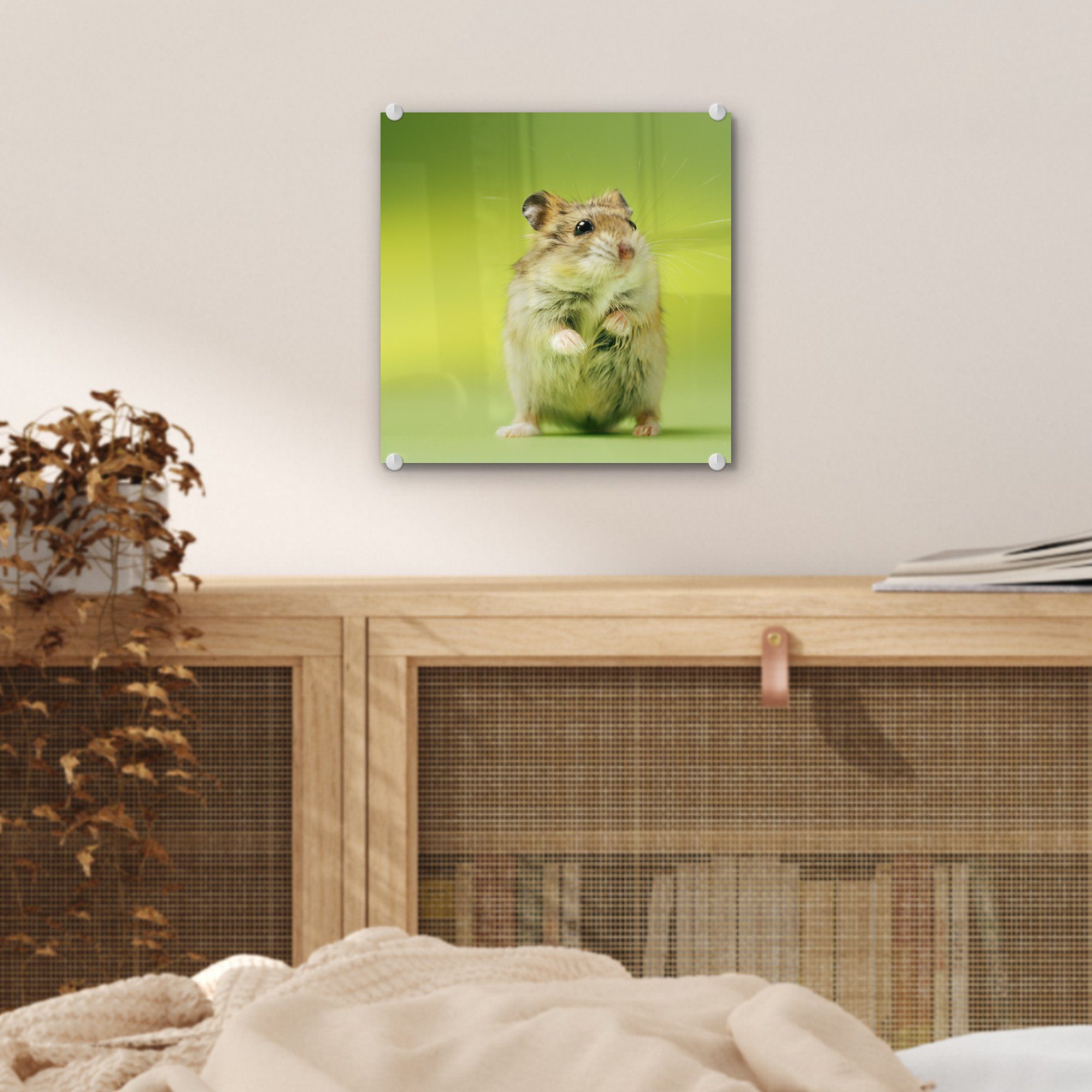 - Glas Acrylglasbild St), vor grünen Bilder (1 Nahaufnahme Glas einem MuchoWow Foto eines auf Wandbild Glasbilder Wanddekoration - Hintergrund, auf Hamsters -