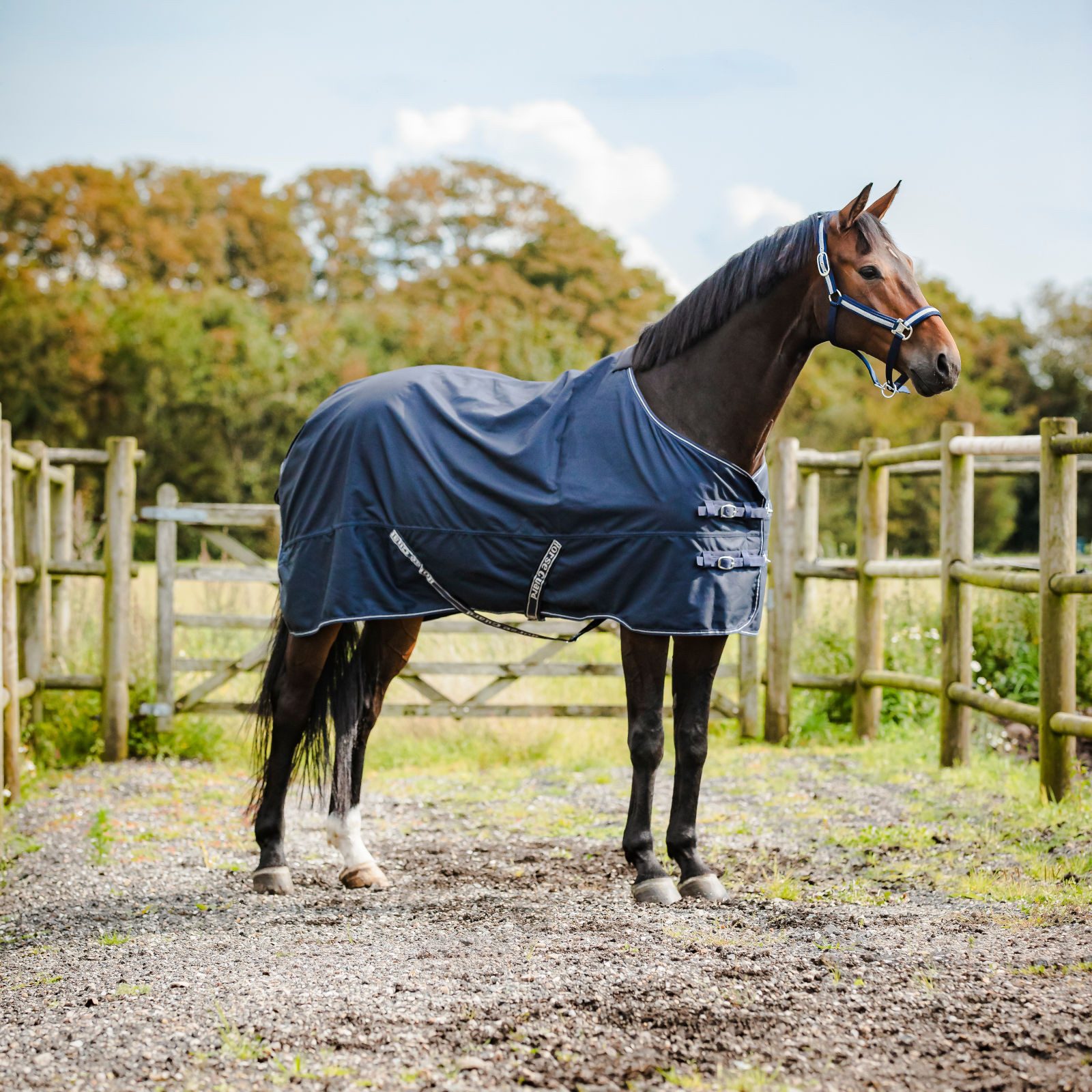 Horse Guard Paddockdecke Turnout Pferdedecke Landon, 120D, 0 g, navy