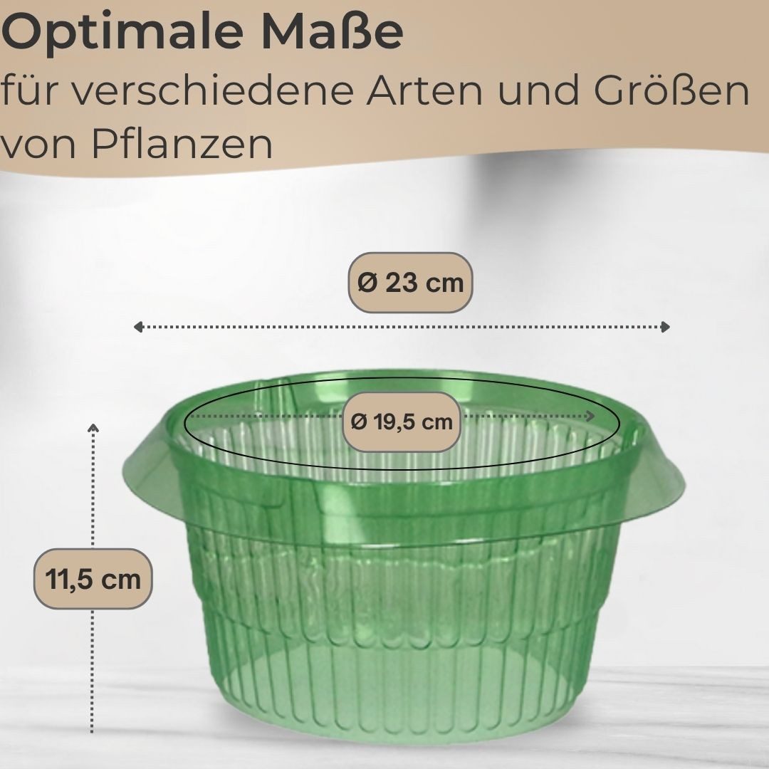 Topanbieter999 Schneckenzaun 12er Set Schneckenschutzringe, 12-St. günstig online kaufen