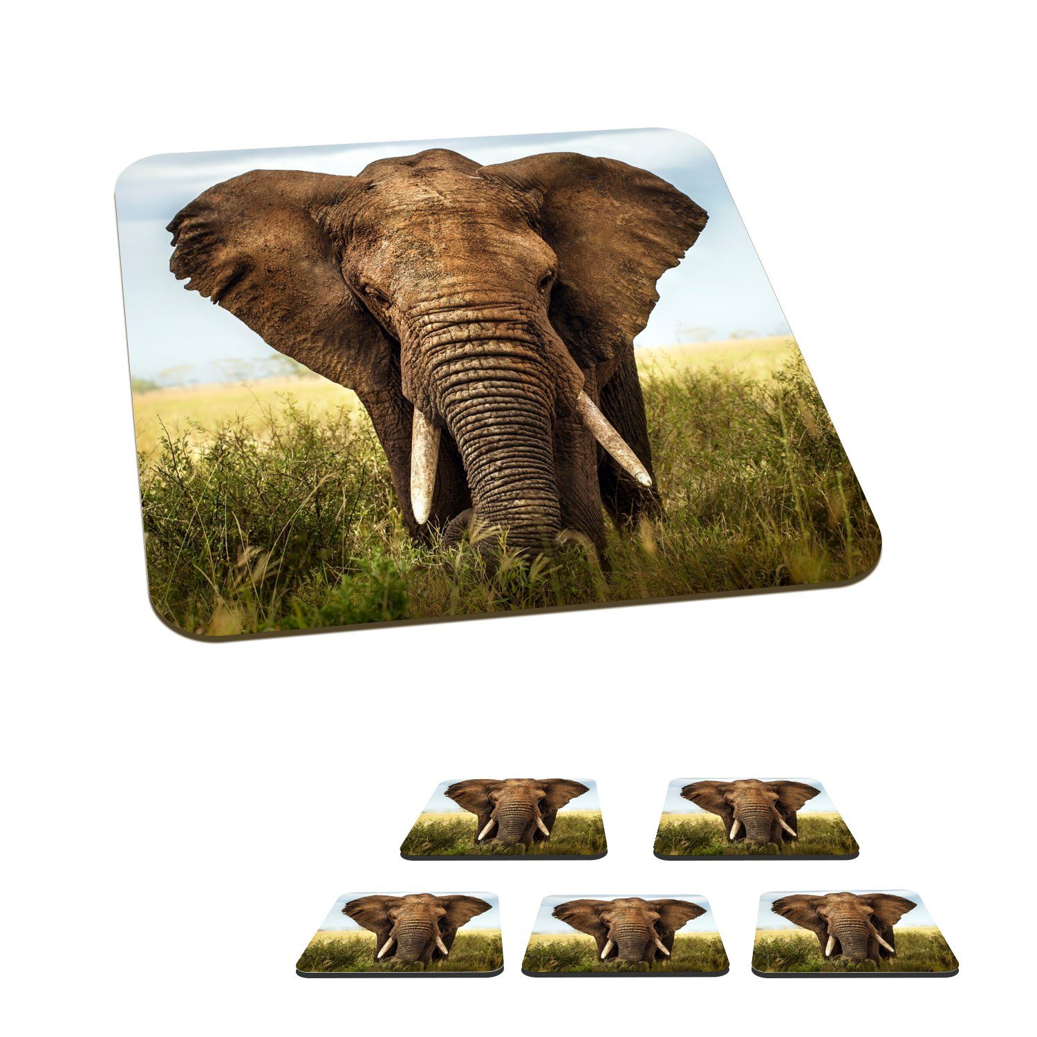 MuchoWow Glasuntersetzer Afrikanischer Elefant Vorderansicht, Zubehör für Gläser, 6-tlg., Glasuntersetzer, Tischuntersetzer, Korkuntersetzer, Untersetzer, Tasse