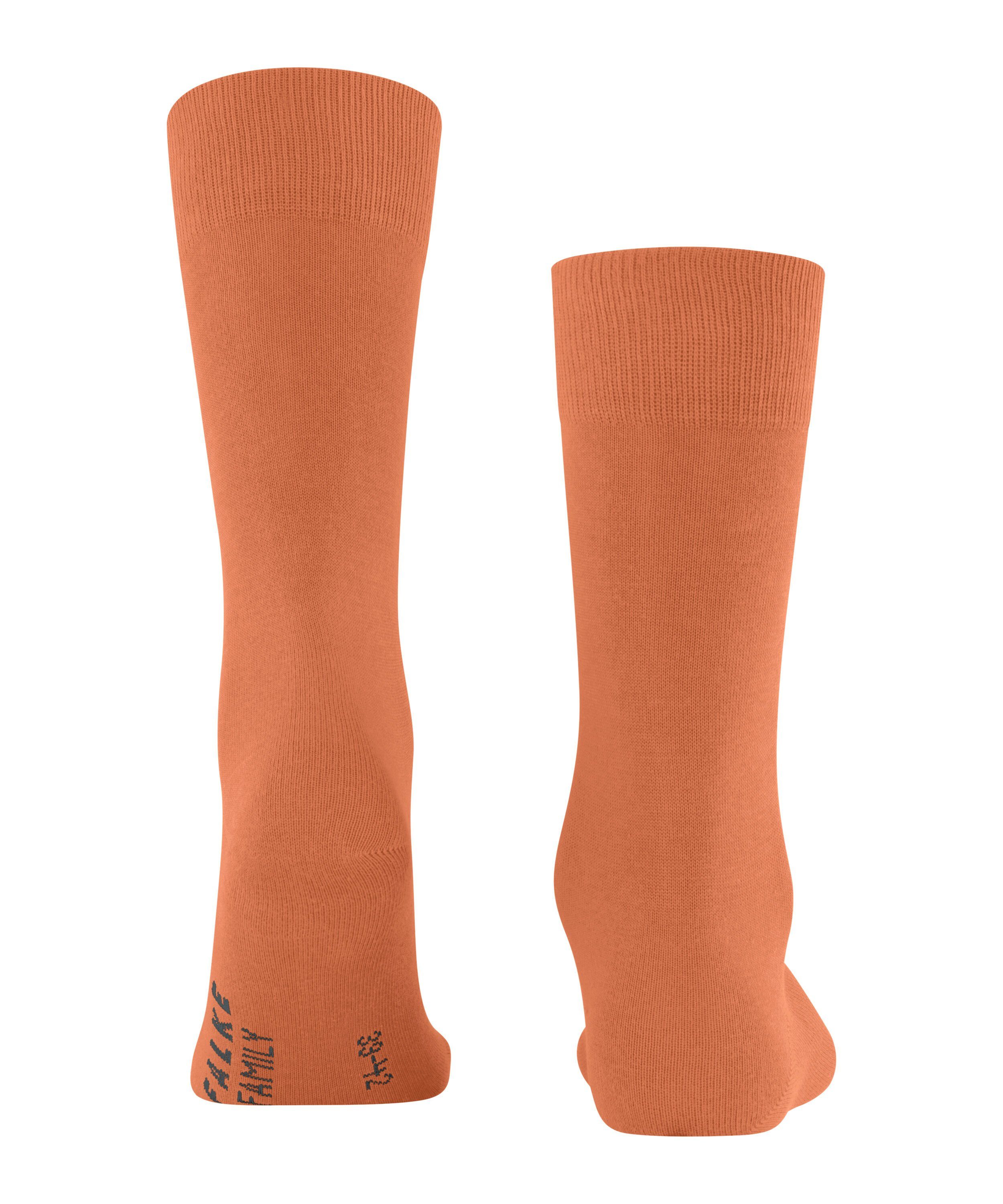 Socken tandoori Family FALKE (1-Paar) (8576)