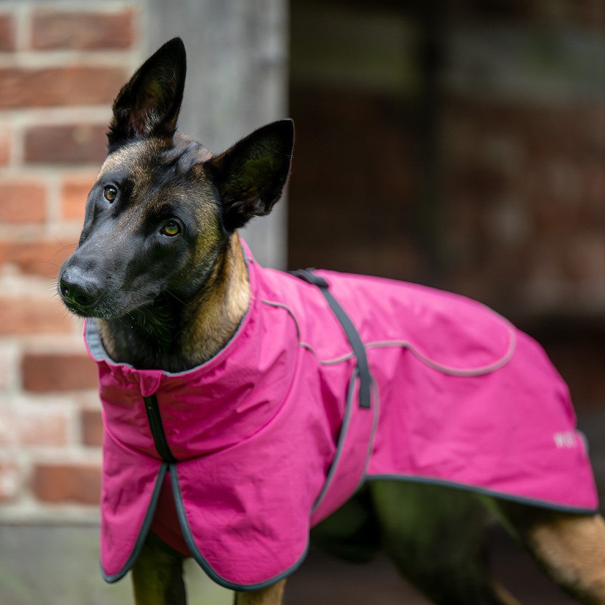 Wolters Hunderegenmantel Cape Drizzle magenta