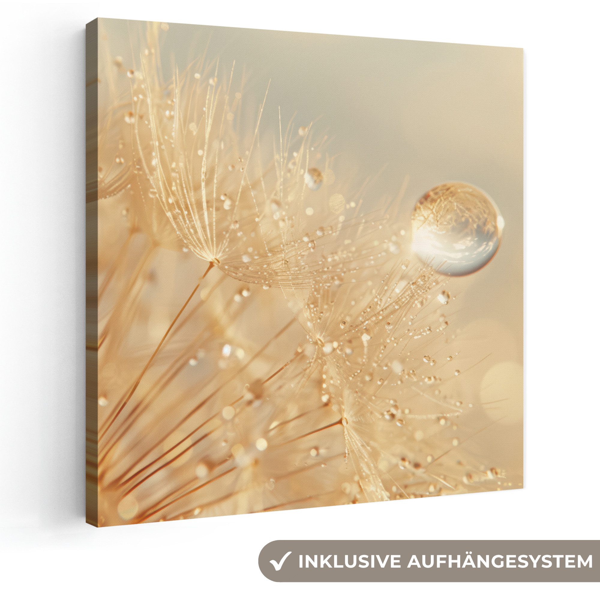 OneMillionCanvasses® Leinwandbild Löwenzahn - Wasser - Natur - Pflanzen - Modern, Fotodruck (1 St), Wandbild, Deko Schlafzimmer Wohnzimmer Flur 20x20 cm