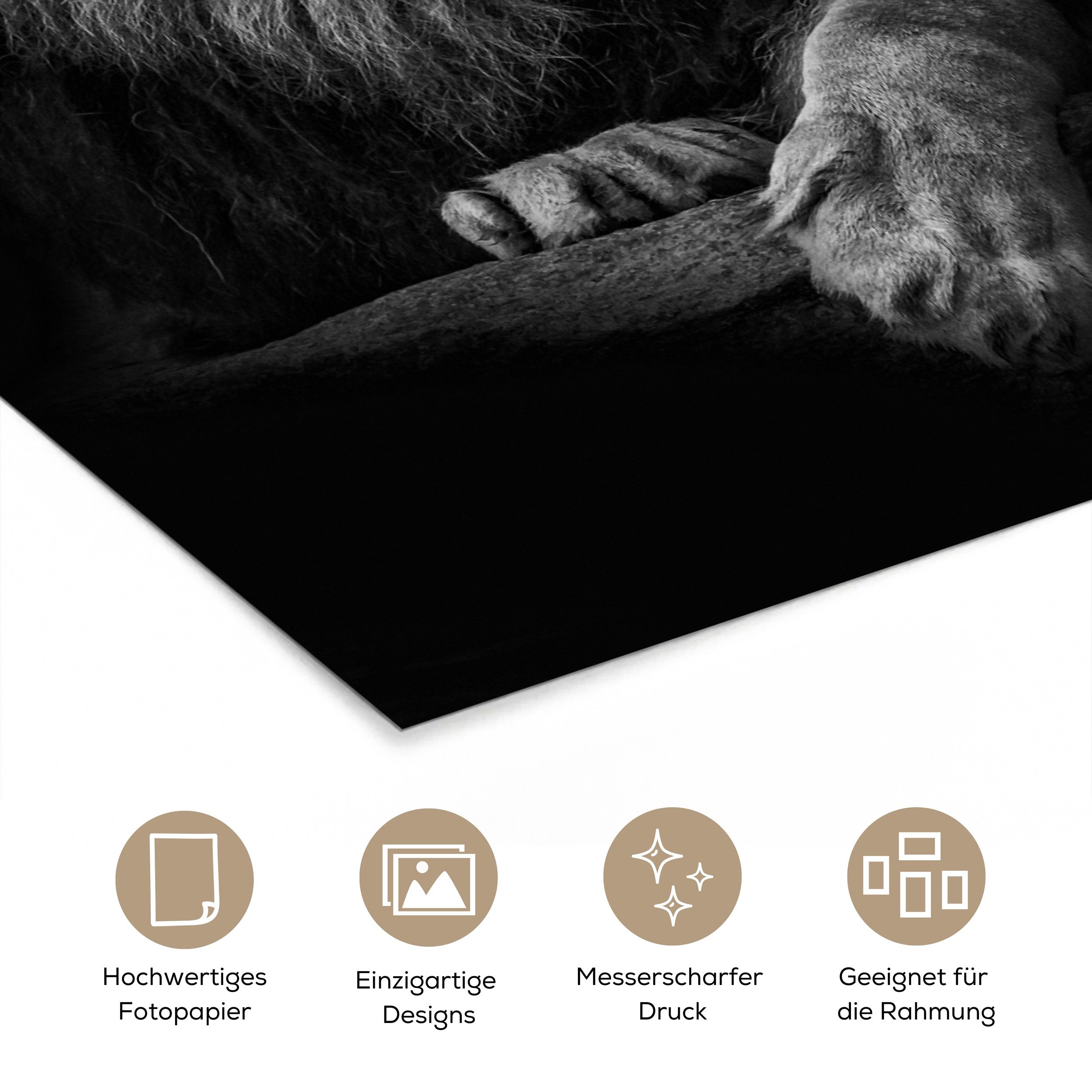 MuchoWow Poster Löwe - Tiere - Schwarz - Weiß, (1 St), Poster ohne Rahmen, Wandbild, Wandposter, 20x30 cm – Bild 3 von 5