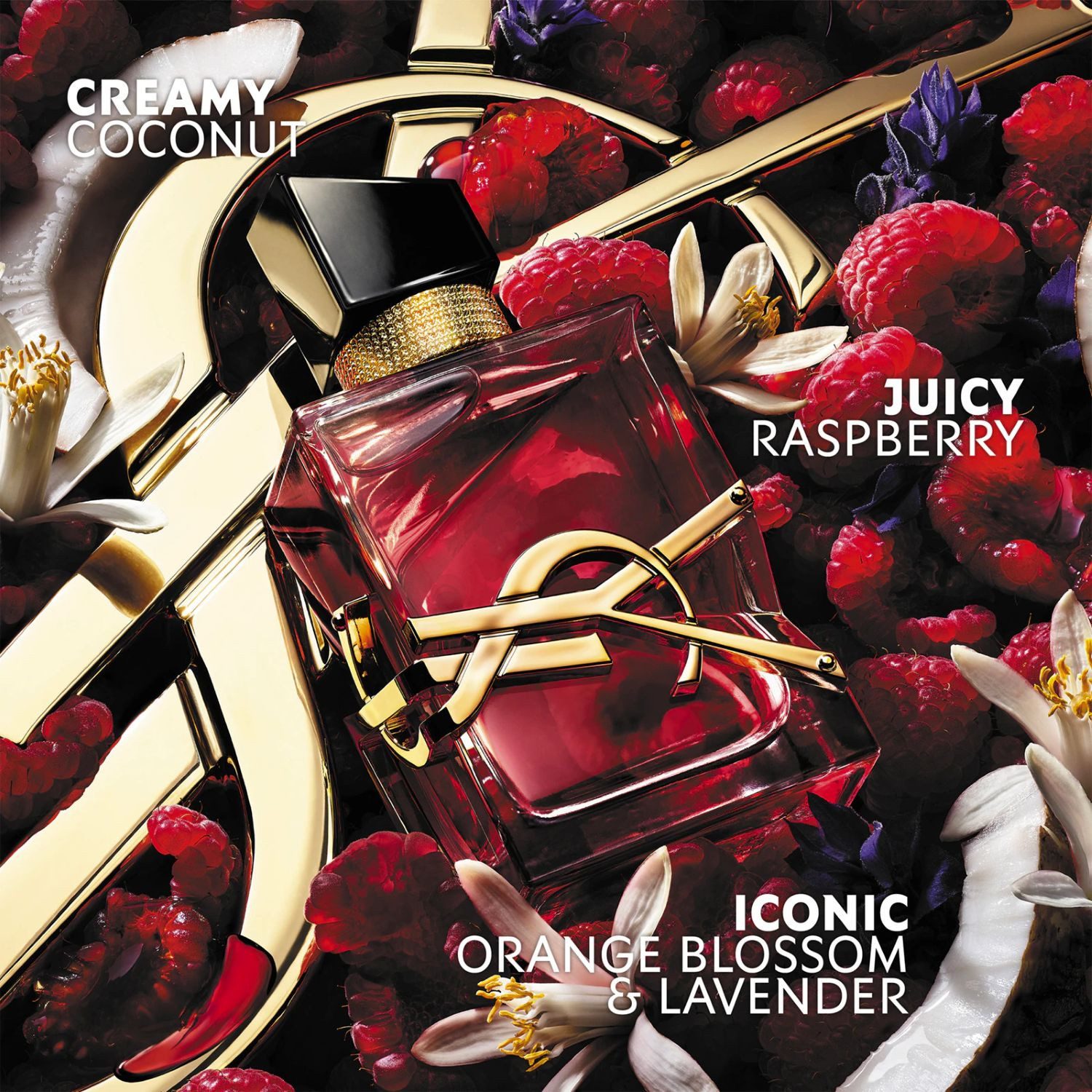 YVES SAINT LAURENT Eau de Parfum Libre Berry Crush, Frauenduft