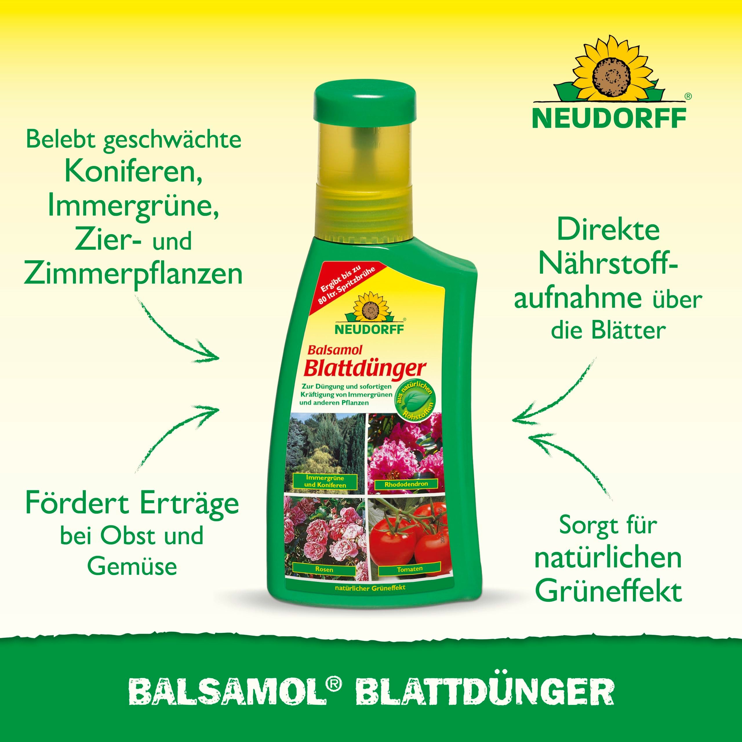 Thumbnail - Neudorff Rasendünger Balsamol Blattdünger 250 ml reicht für 80L, Zur Düngung und sofortigen Kräftigung von geschwächten ...