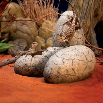 Exo Terra Terrariendeko Dinosaur Eggs - Fossiles Versteck