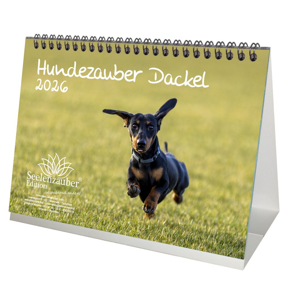 Seelenzauber Tischkalender Hundezauber Dackel DIN A5 Tischkalender für 2026 Welpen und Hunde