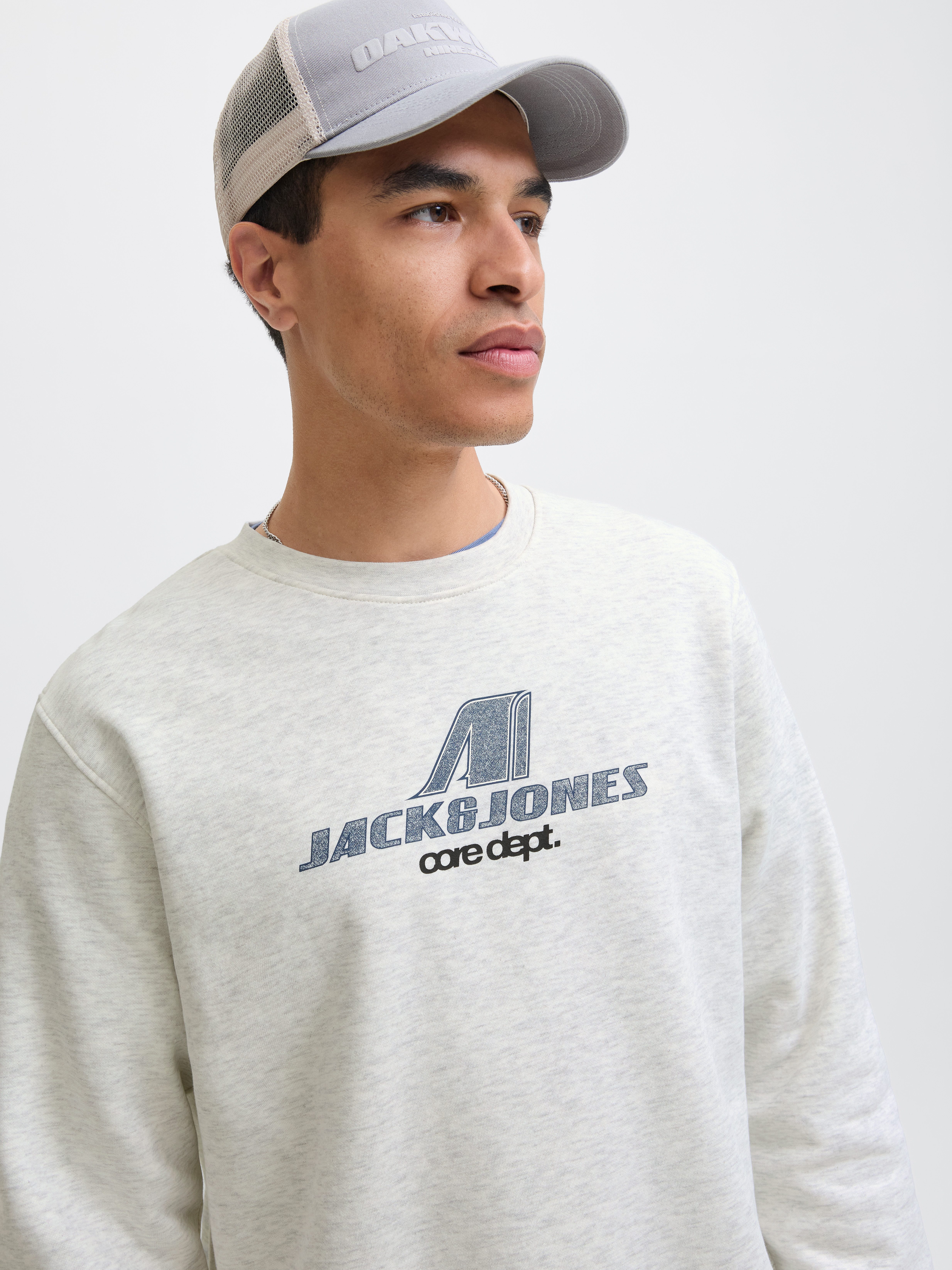 Jack & Jones Sweatshirt JCOTIER PRINT SWEAT CREW NECK günstig online kaufen