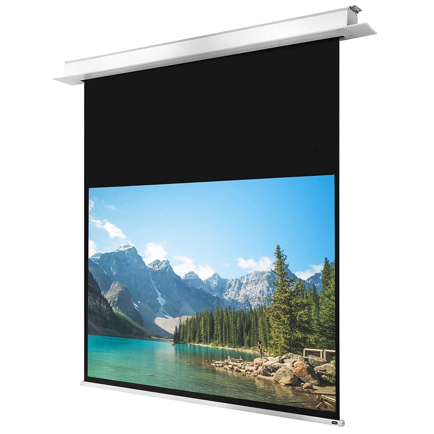 Celexon Deckeneinbau Pro+ Motorleinwand (schwarze Rückseite)