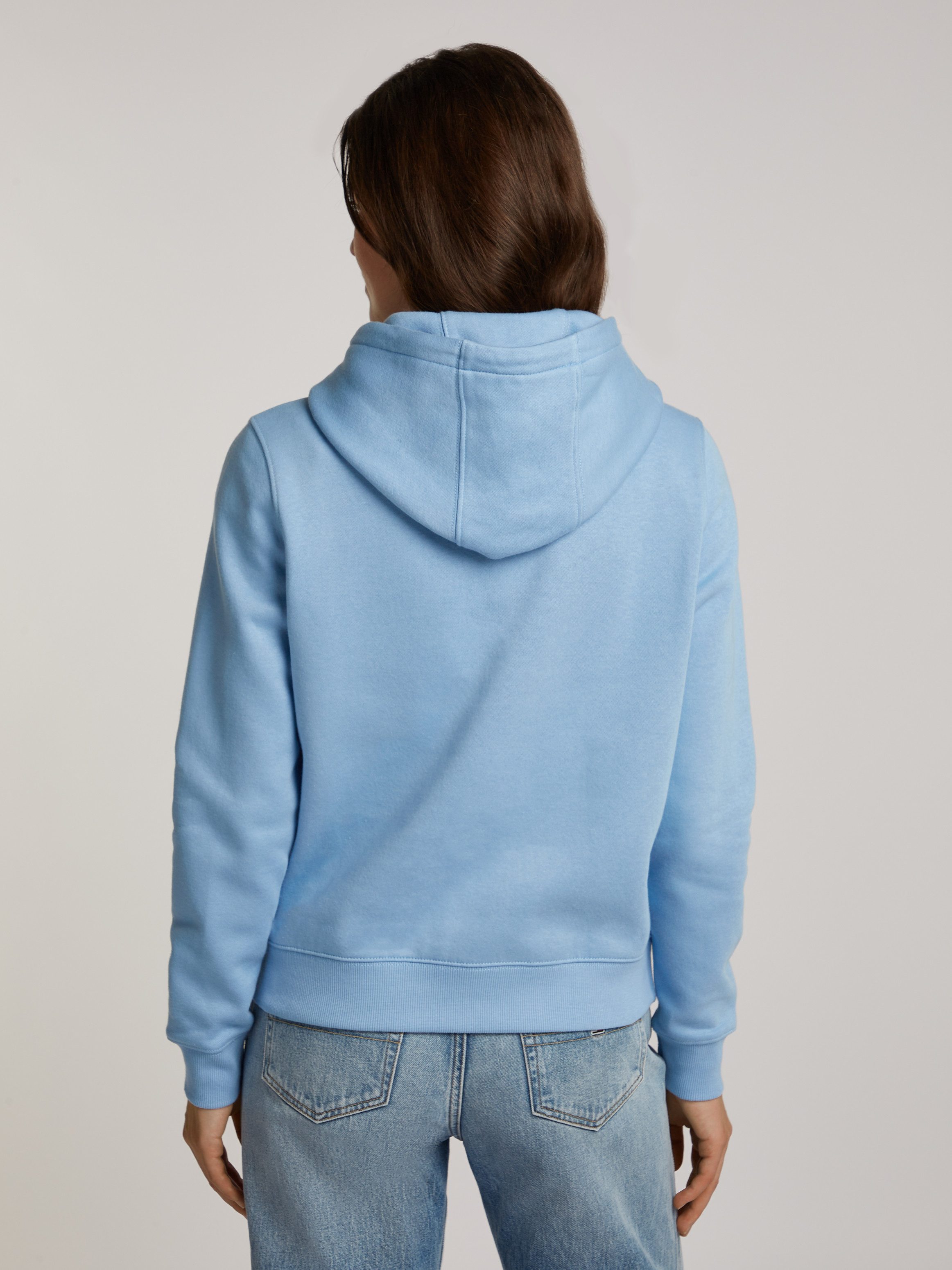 Tommy Jeans Kapuzensweatshirt TJW REG S günstig online kaufen