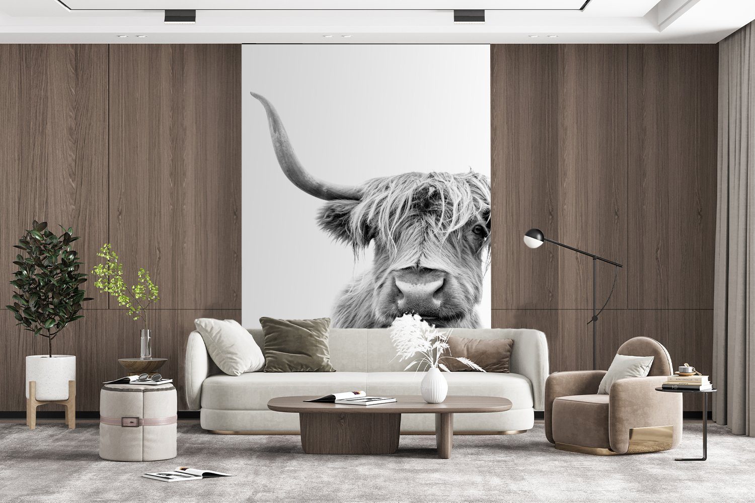 Matt, Schwarz Wandtapete bedruckt, St), Wohnzimmer, MuchoWow Vinyl Schottischer Tapete Montagefertig Weiß, für - Tiere - Highlander Fototapete (3 -