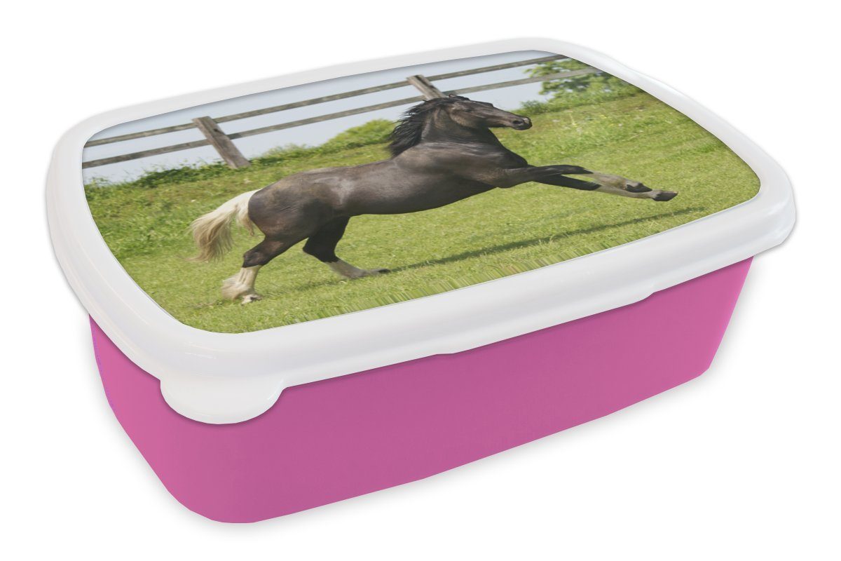 MuchoWow Lunchbox Pferde (2-tlg), Kunststoff, Zaun, rosa Erwachsene, für Snackbox, - Gras Kunststoff Brotbox Brotdose Mädchen, Kinder, 