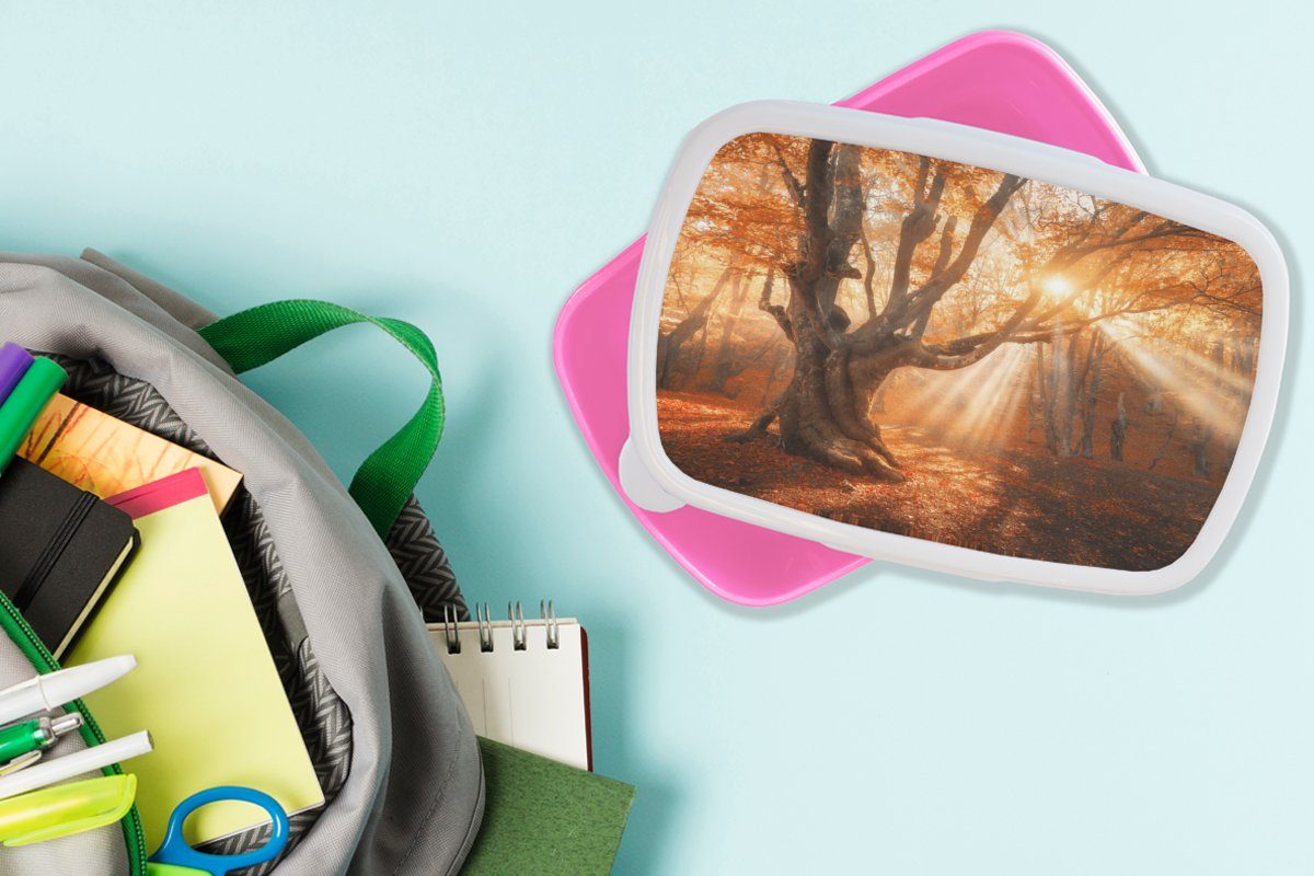 Kunststoff Baum Kinder, Kunststoff, Mädchen, Snackbox, Natur Brotdose für Erwachsene, Brotbox - MuchoWow Herbst, - (2-tlg), rosa Lunchbox
