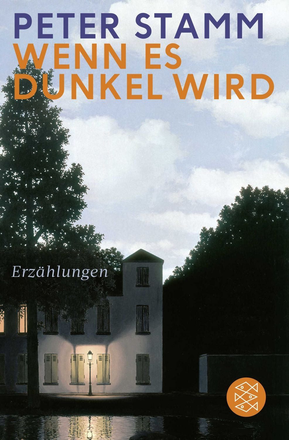 Wenn es dunkel wird Erzählungen / Peter Stamm, Erzählungen, X
