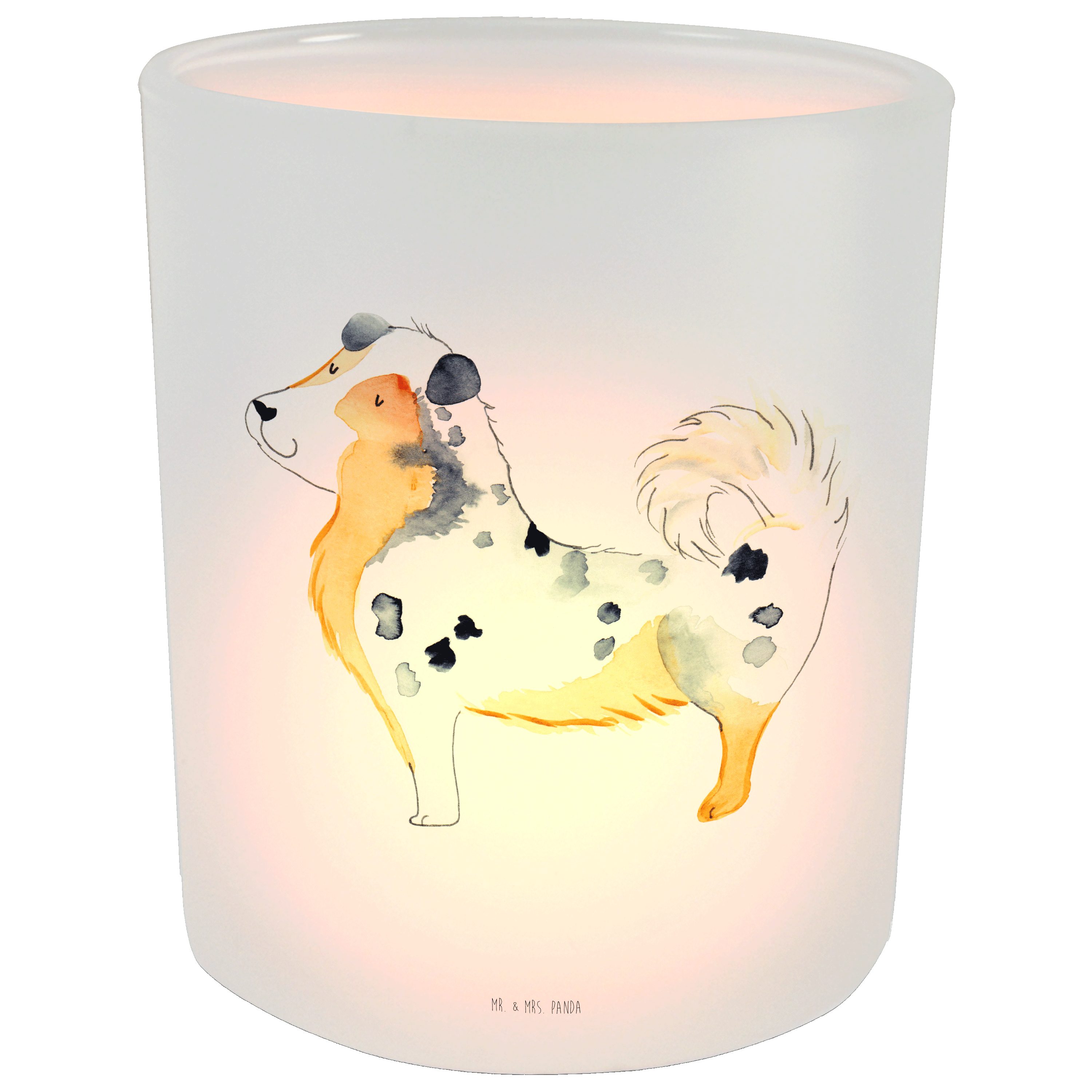 Mr. & Mrs. Panda Windlicht Australien Shepherd - Transparent - Geschenk, Teelichthalter, Kerzeng (1 St)