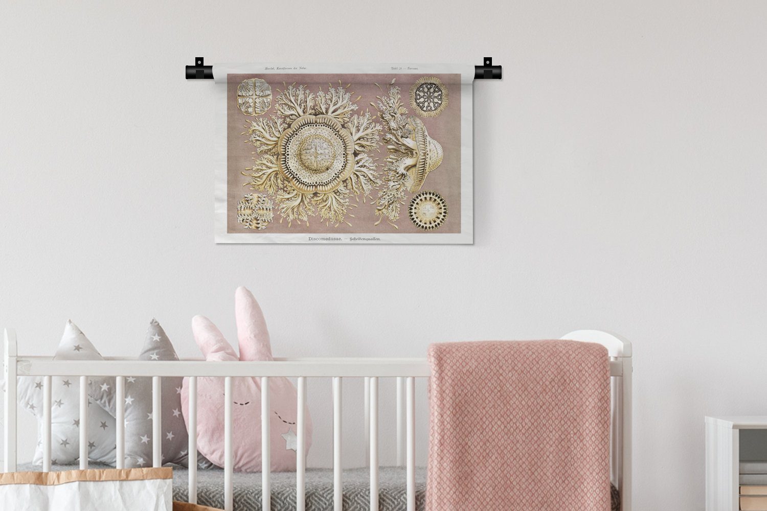 - - Wandbehang, Wanddekoobjekt Jahrgang - für Haeckel Wohnzimmer, MuchoWow Qualle Kleid, Schlafzimmer, Kinderzimmer Kunst, Ernst Wanddeko