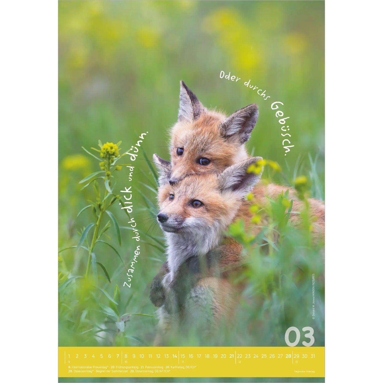 NEUMANN Wandkalender Tierisch cool! 2027