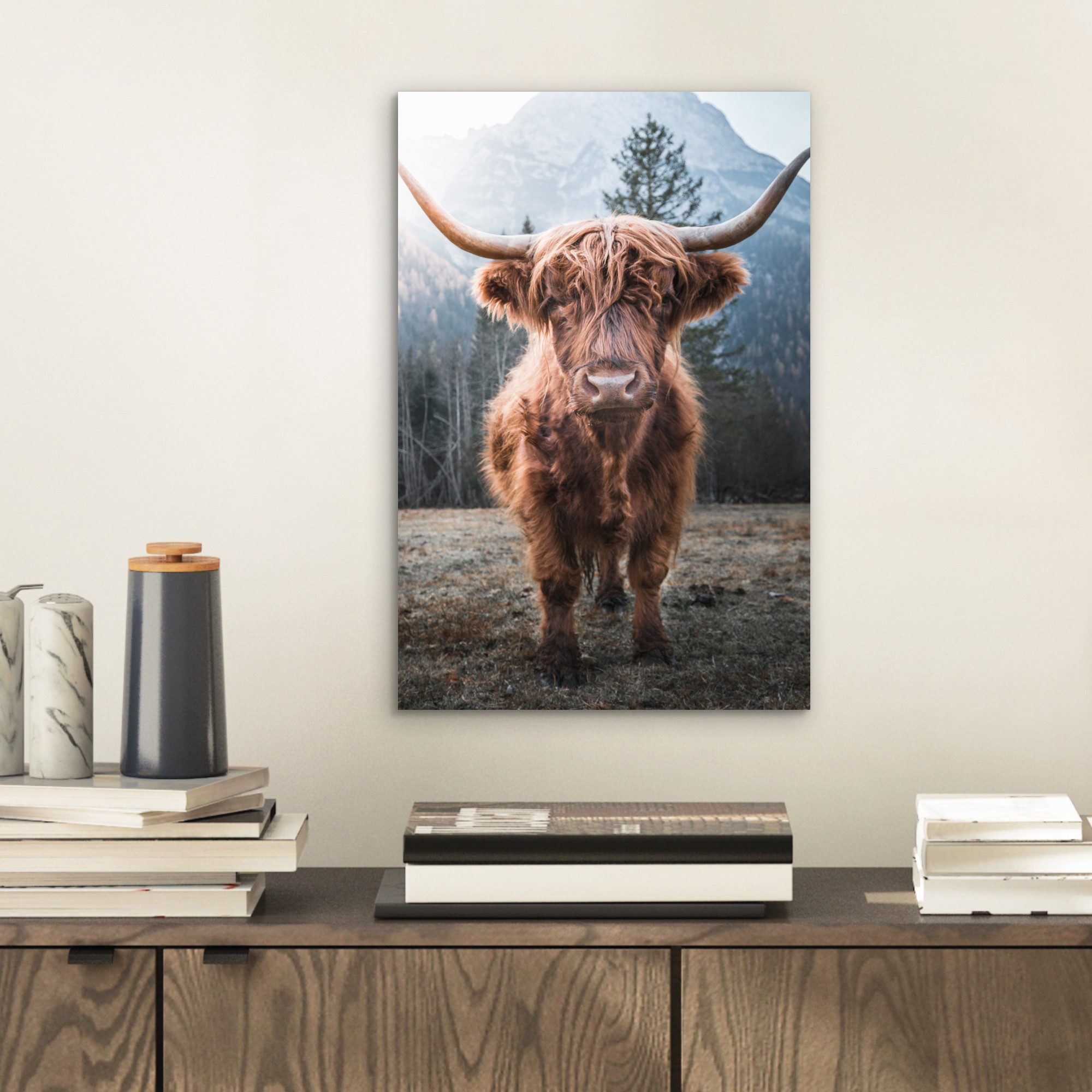 MuchoWow Metallbild Schottischer Hochländer - Kuh günstig online kaufen