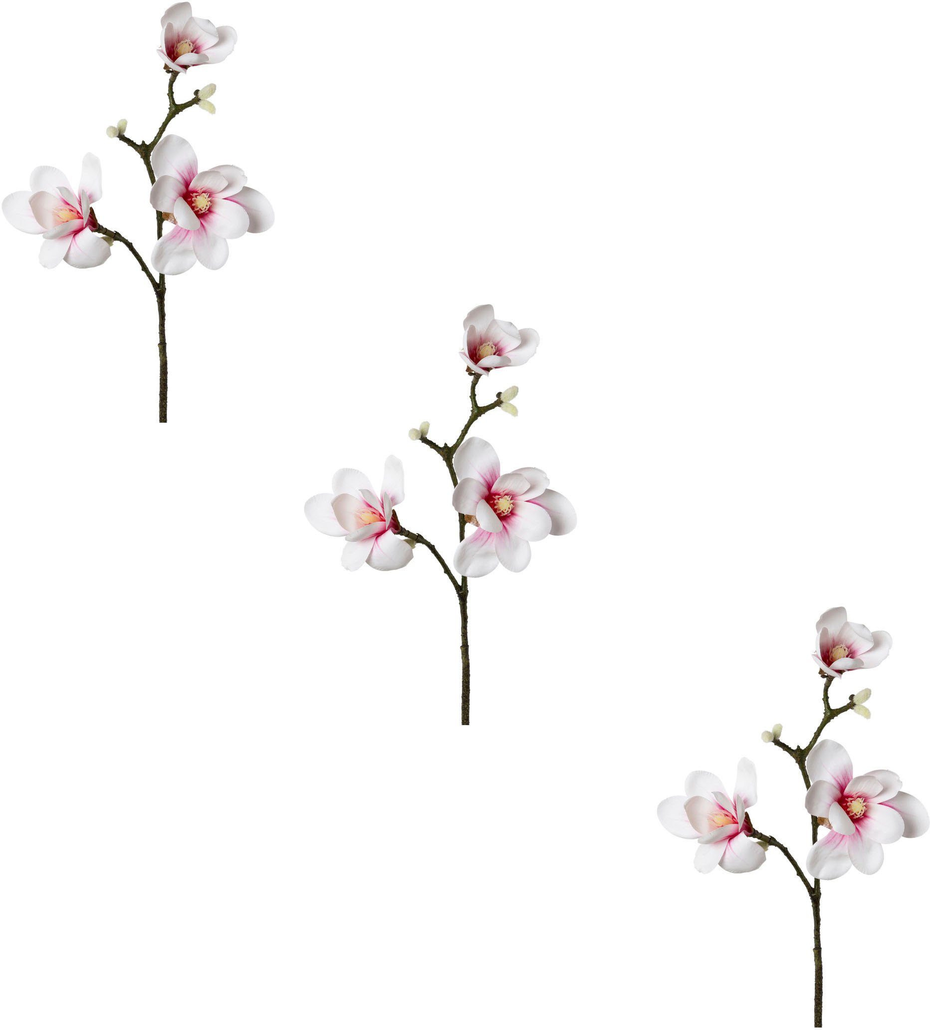 Kunstblume Magnolie