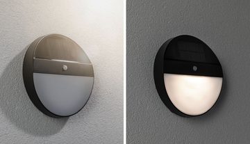 Paulmann LED Außen-Wandleuchte Elois, Bewegungsmelder, LED fest integriert, Warmweiß, LED-Board, Solar, mit Bewegungsmelder