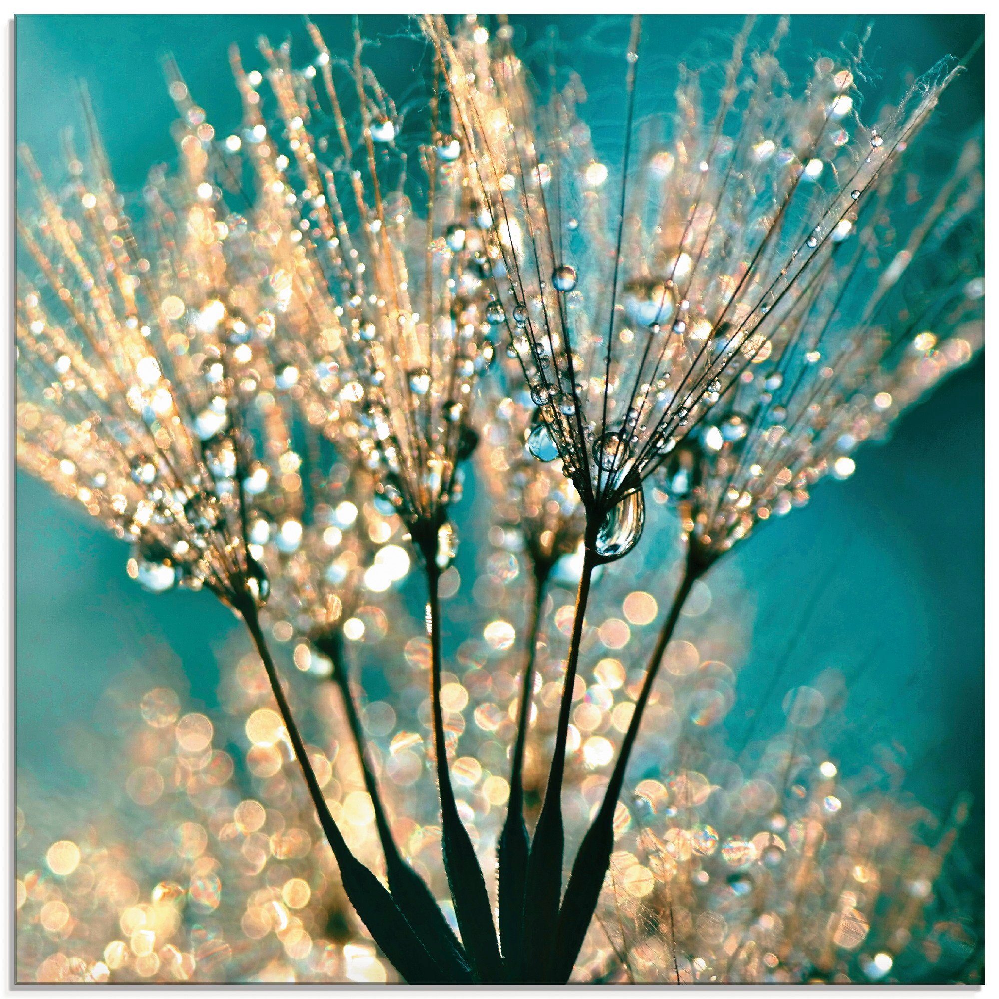 Artland Glasbild Pusteblume Schirmchen abstrakt, Blumen (1 St), in verschiedenen Größen