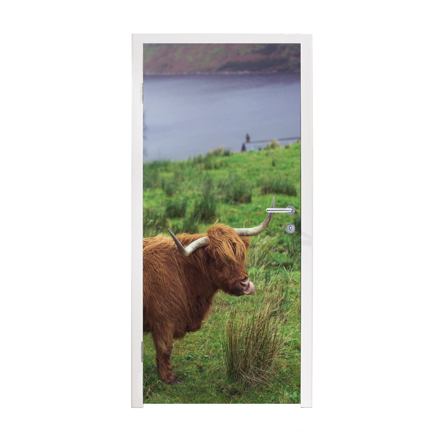 Wasser - (1 Türtapete - Matt, St), Gras für Tiere, - Fototapete Highlander cm bedruckt, MuchoWow 75x205 Türaufkleber, Schottische Tür,
