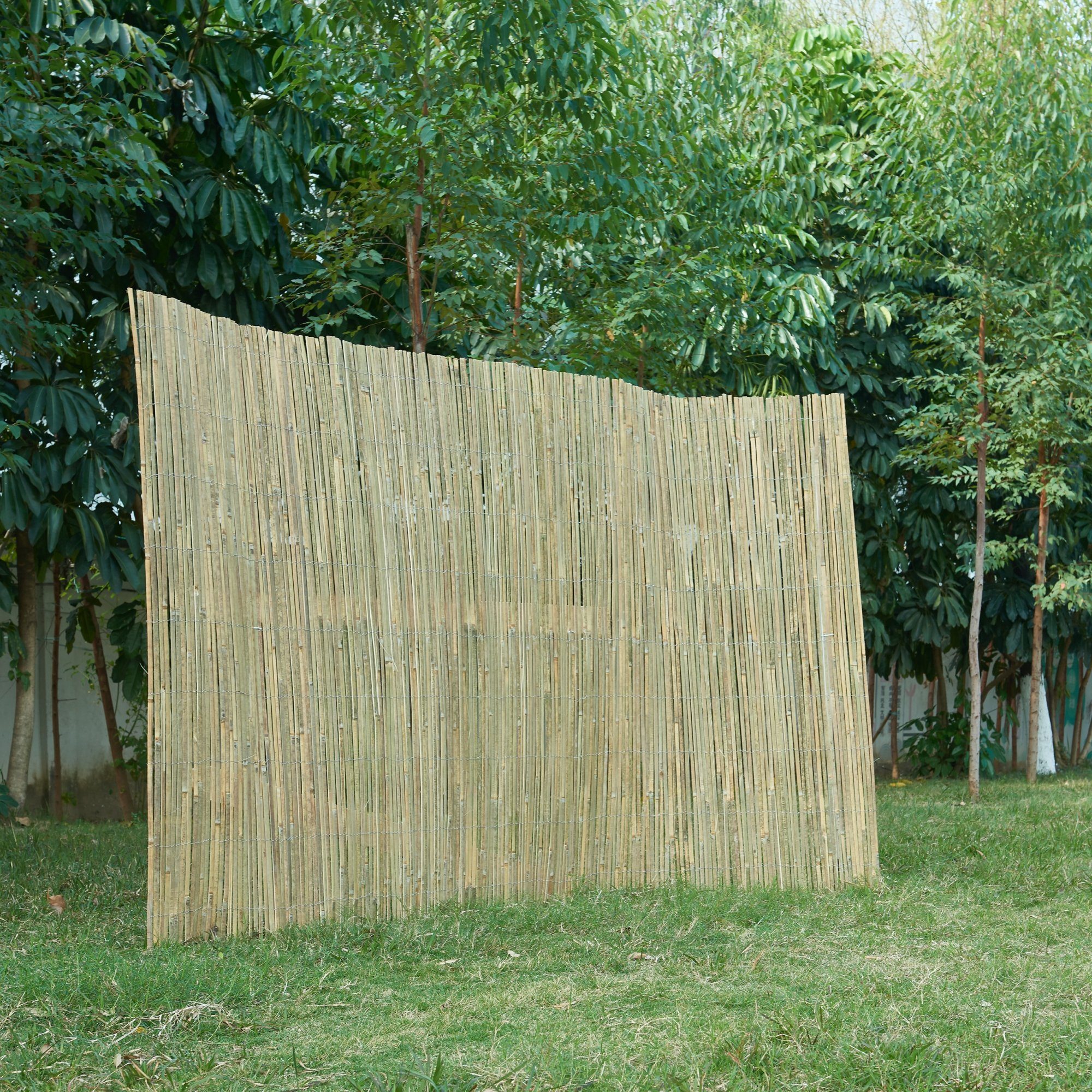 casa.pro Sichtschutzzaunmatten, »Baarle« Bambuszaun Natur 100x300cm günstig online kaufen