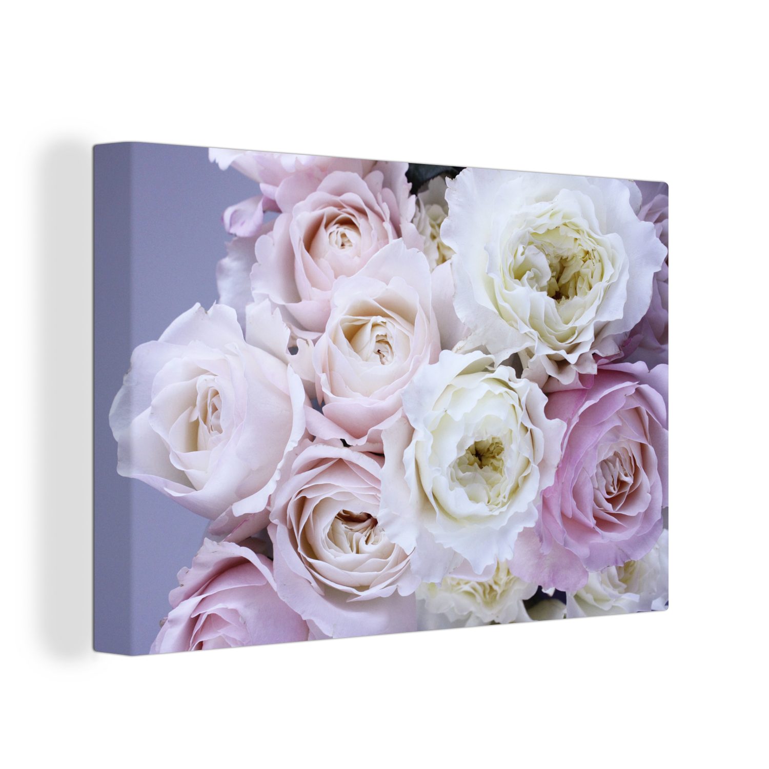 OneMillionCanvasses® Leinwandbild Rosen - Blumen - Lila, (1 St), Wandbild für alle Wohnbereiche, Gemälde, XXL, großes, 120x80 cm