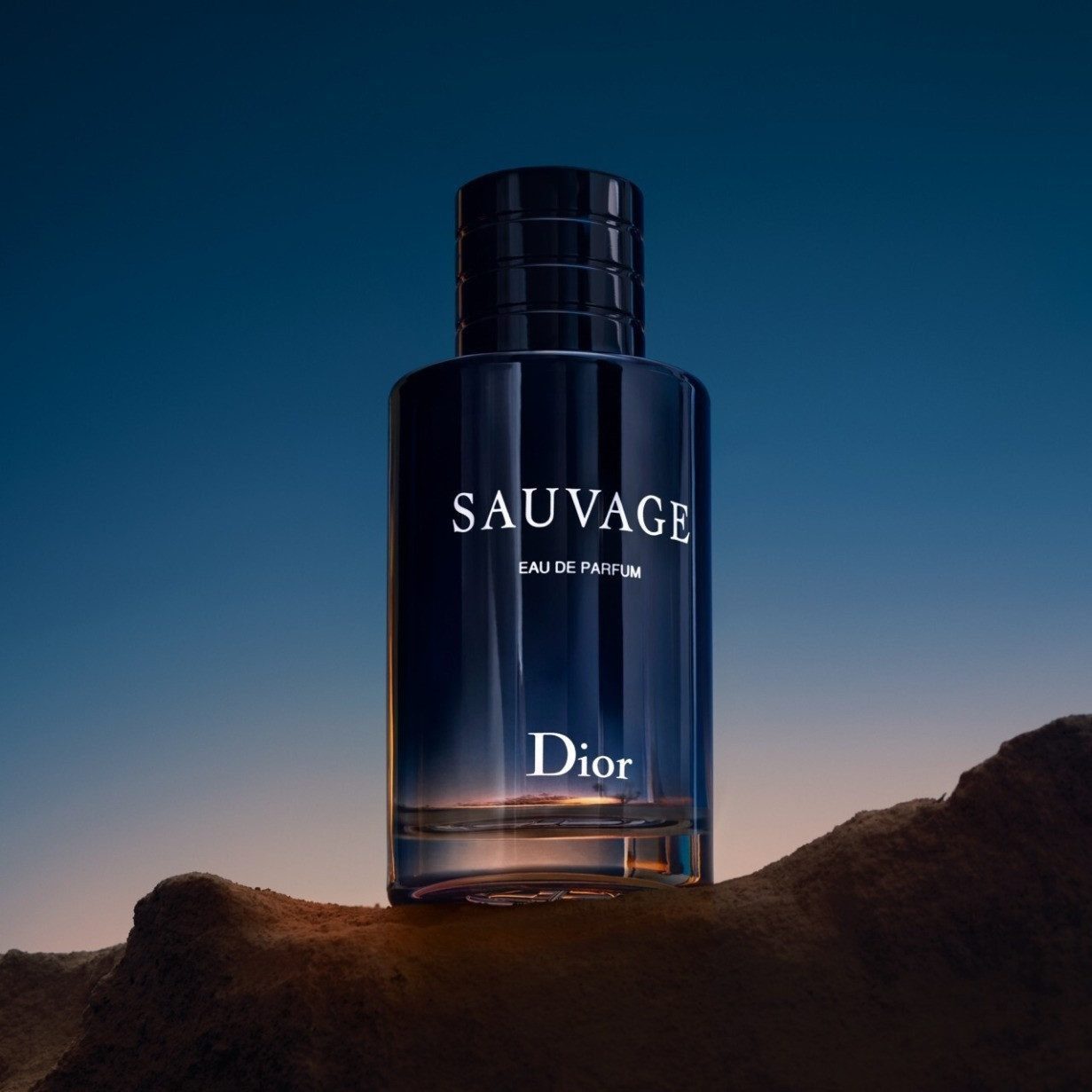 Dior Eau de Parfum Sauvage, Glasflakon, Parfüm EDP, Herrenduft