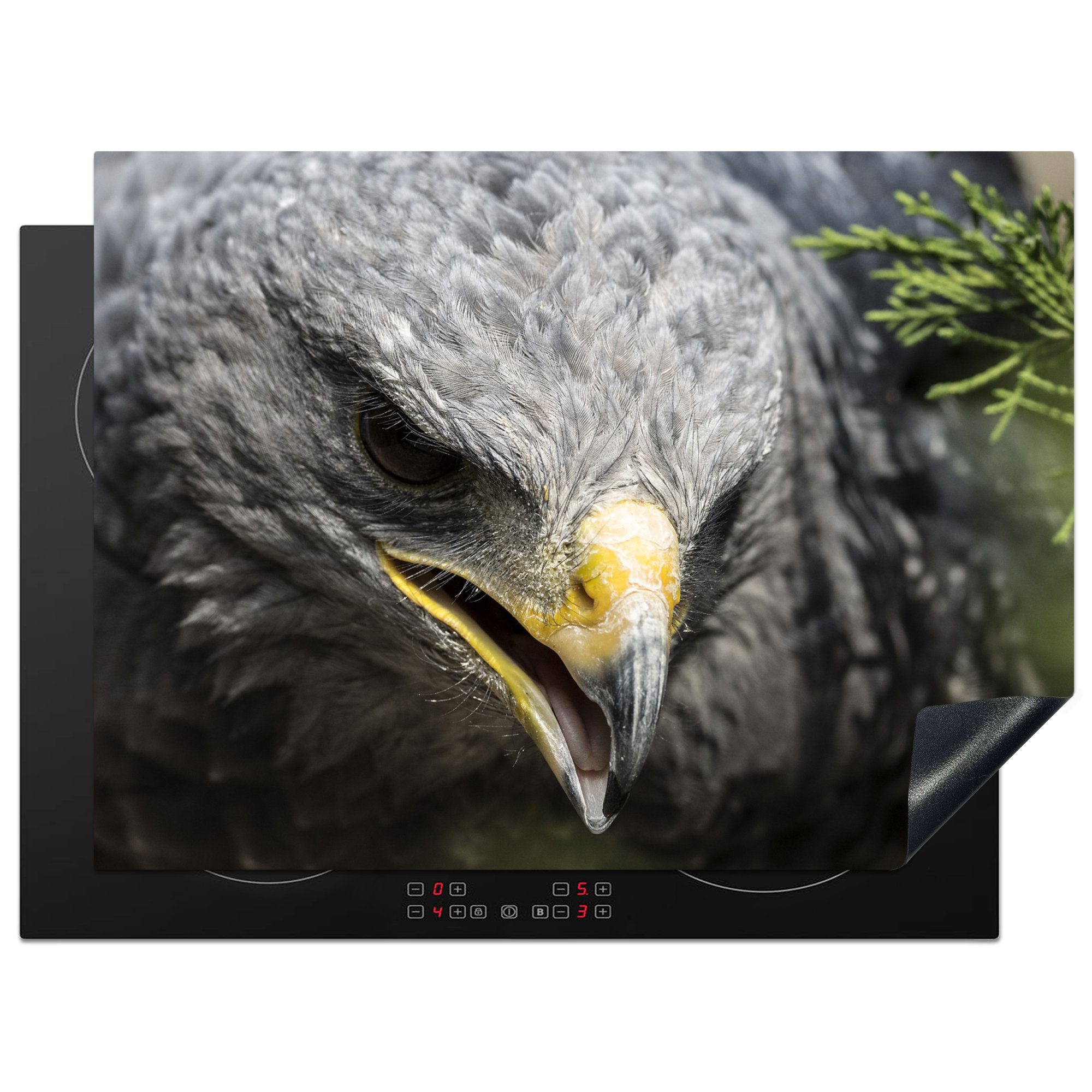 MuchoWow Herdblende-/Abdeckplatte Nahaufnahme eines Raubvogels mit grauem Gefieder, Vinyl, (1 tlg), 70x52 cm, Mobile Arbeitsfläche nutzbar, Ceranfeldabdeckung