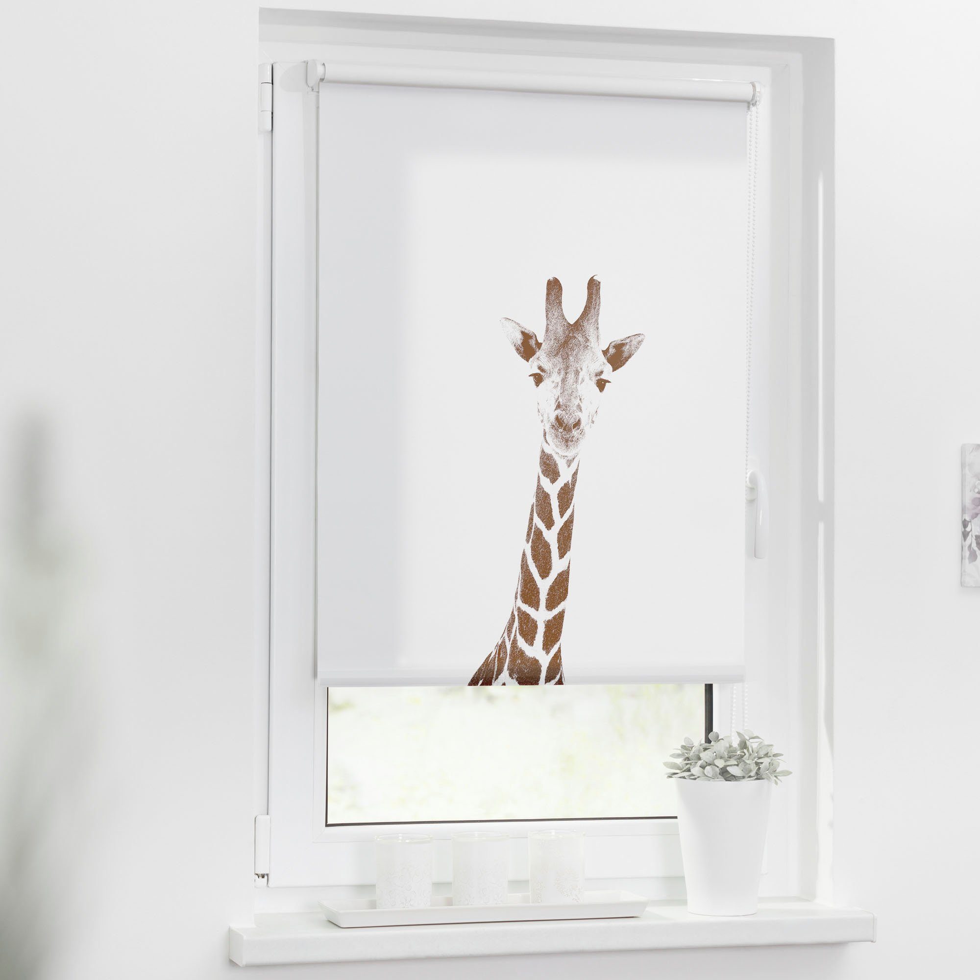 Giraffe Seitenzugrollo Bohren, blickdicht, blickdicht, Braun, ohne LICHTBLICK ORIGINAL, Klemmfix freihängend, Klemmfix, - Rollo