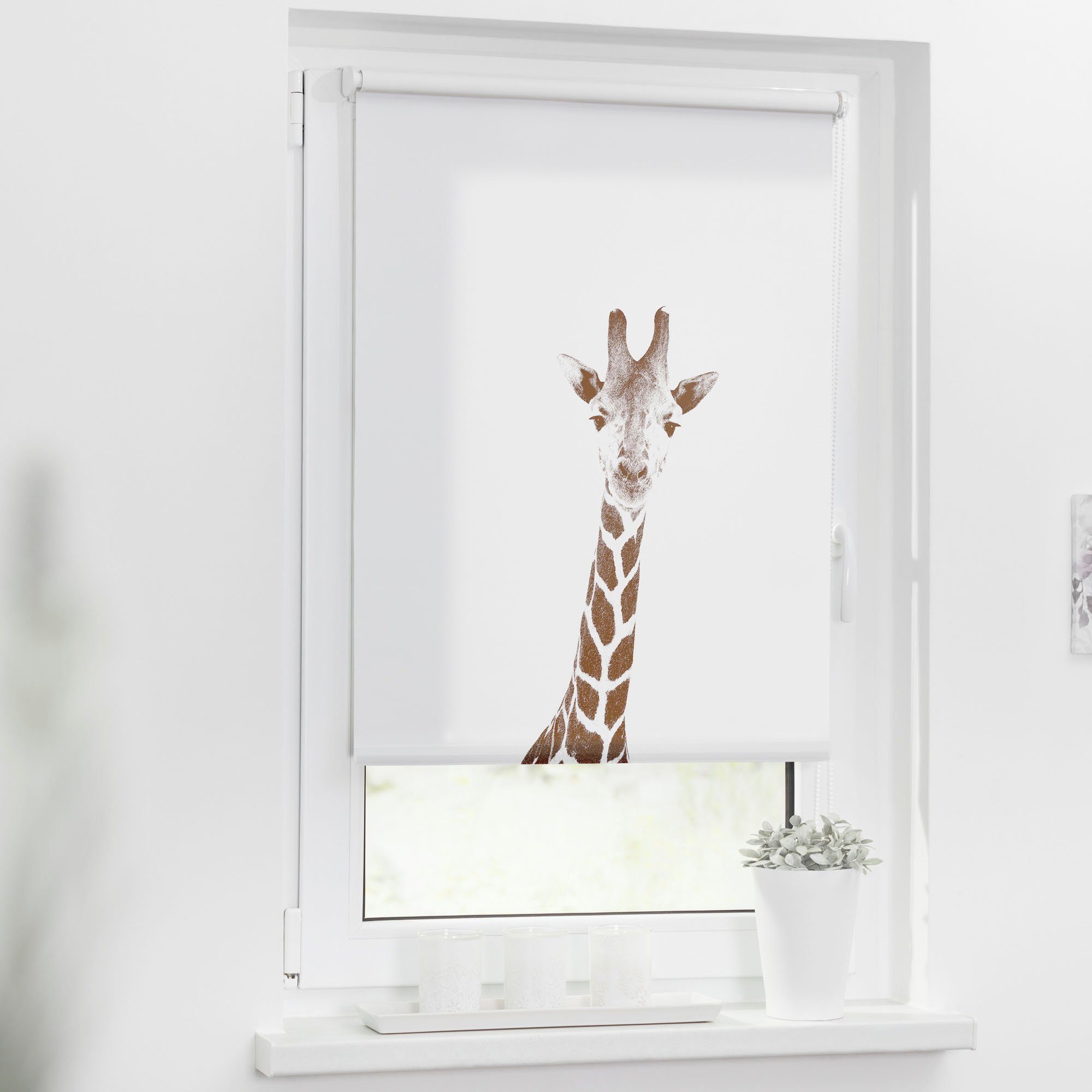Seitenzugrollo Rollo Klemmfix, ohne Bohren, blickdicht, günstig online kaufen