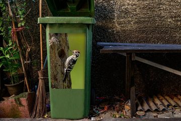 MuchoWow Wandsticker Ein kleiner Buntspecht am Baum (1 St), Mülleimer-aufkleber, Mülltonne, Sticker, Container, Abfalbehälter