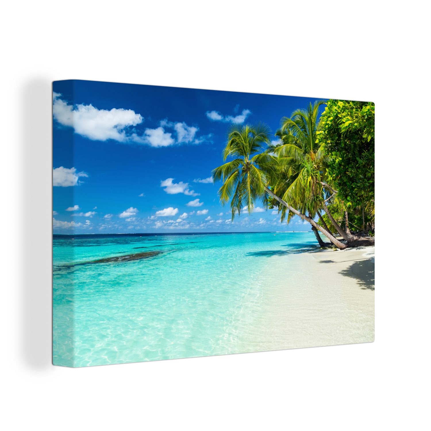 OneMillionCanvasses® Leinwandbild Palmen - Strand - günstig online kaufen