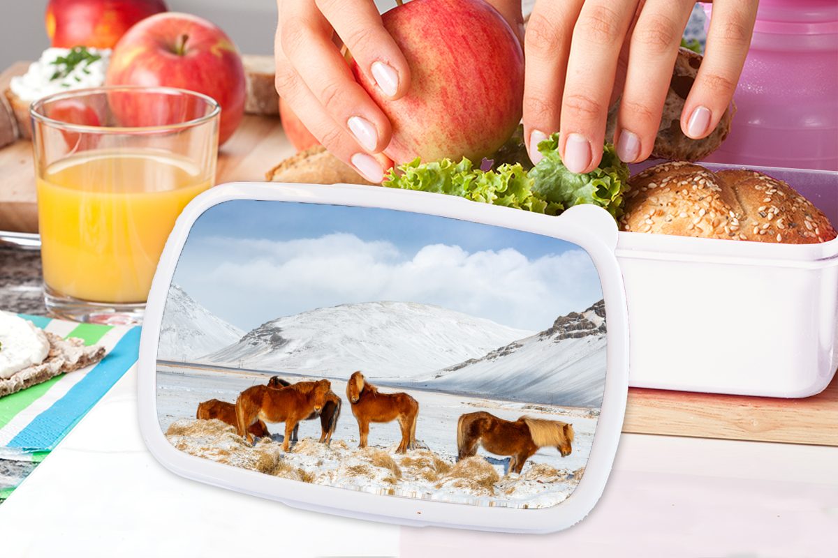 und Kunststoff, weiß Brotdose, und Braune Kinder für Mädchen Brotbox Isländerpferde eines schneebedeckten am Berges, Jungs für Erwachsene, (2-tlg), Lunchbox MuchoWow Fuße