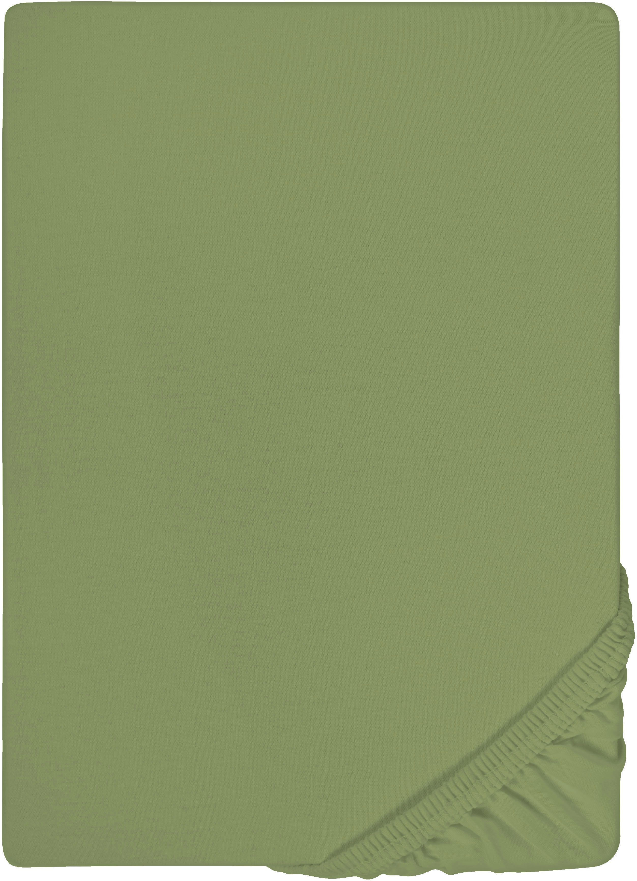 Biberna Spannbettlaken THEA Baumwoll-Jersey mit Elasthan, 160 g/m², Jersey-Elasthan, Gummizug: rundum, (1 Stück), Bettlaken für Matratzen bis 25 cm Höhe, pflegeleicht, bügelfrei