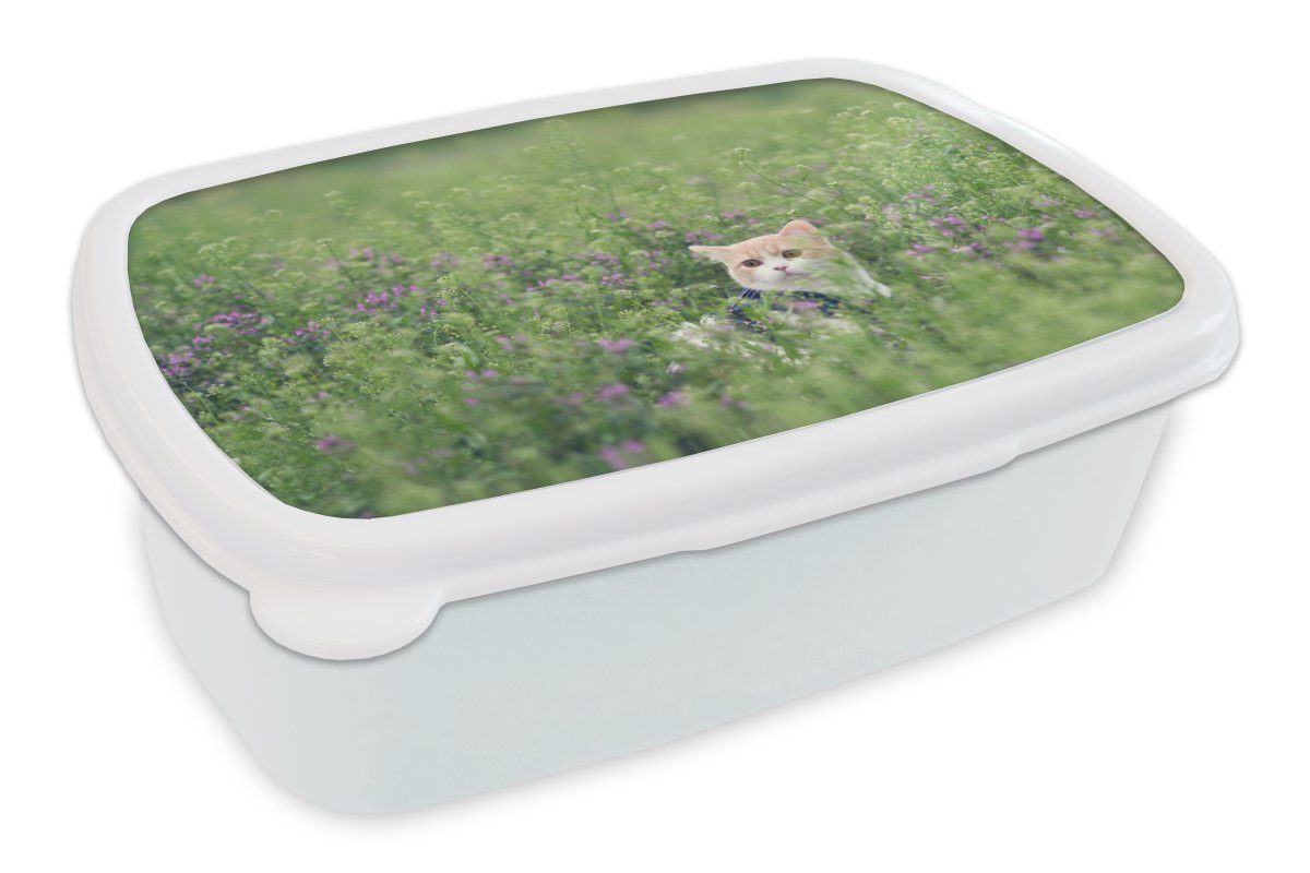 MuchoWow Lunchbox Katze - Blumen - Frühling, Kunststoff, (2-tlg), Brotbox für Kinder und Erwachsene, Brotdose, für Jungs und Mädchen weiß