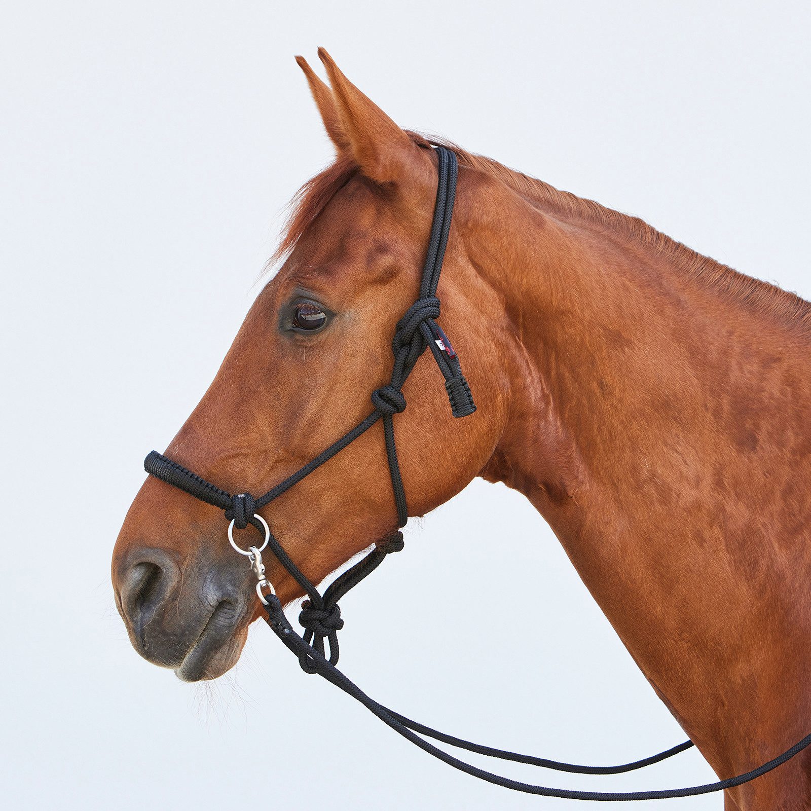 Knotenhalfter Knotenhalfter Ruby, schwarz
