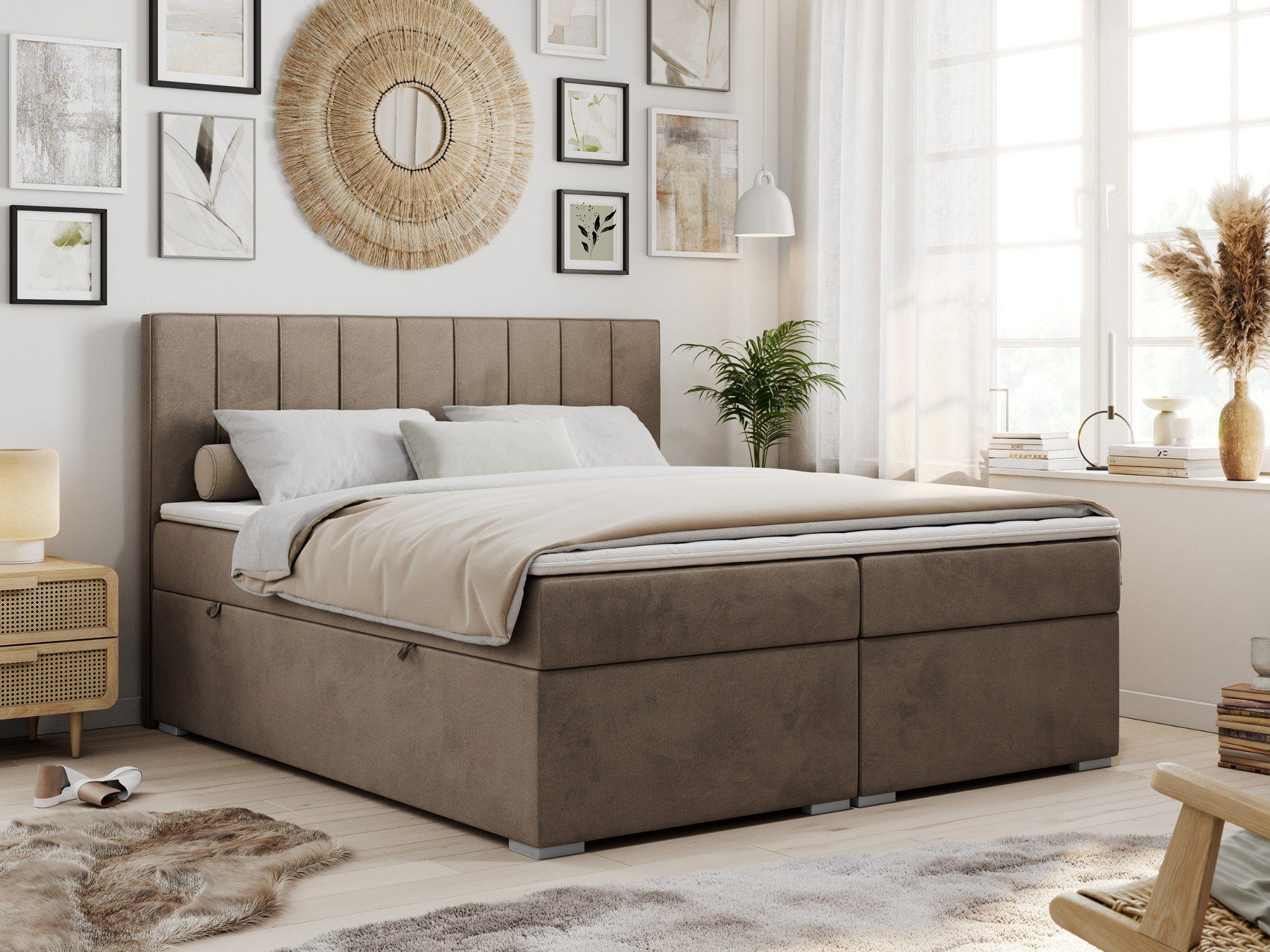 MKS MÖBEL Boxspringbett ALLY (Set, Packung, günstig online kaufen