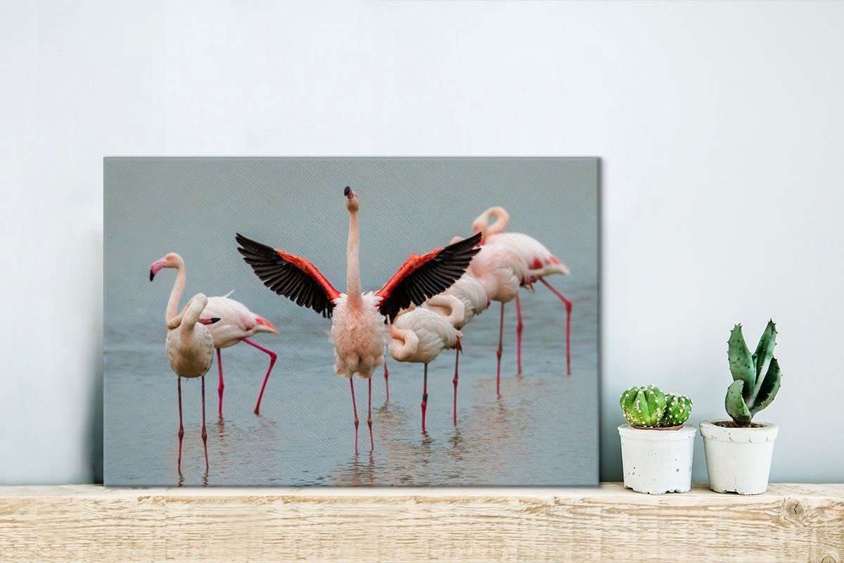 OneMillionCanvasses® Leinwandbild Ein Flamingo, der Wandbild Leinwandbilder, St), (1 Wanddeko, sich 30x20 ausstreckt, cm Aufhängefertig
