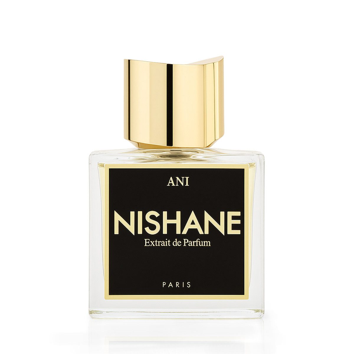 Nishane Extrait Parfum Ani Extrait de Parfum